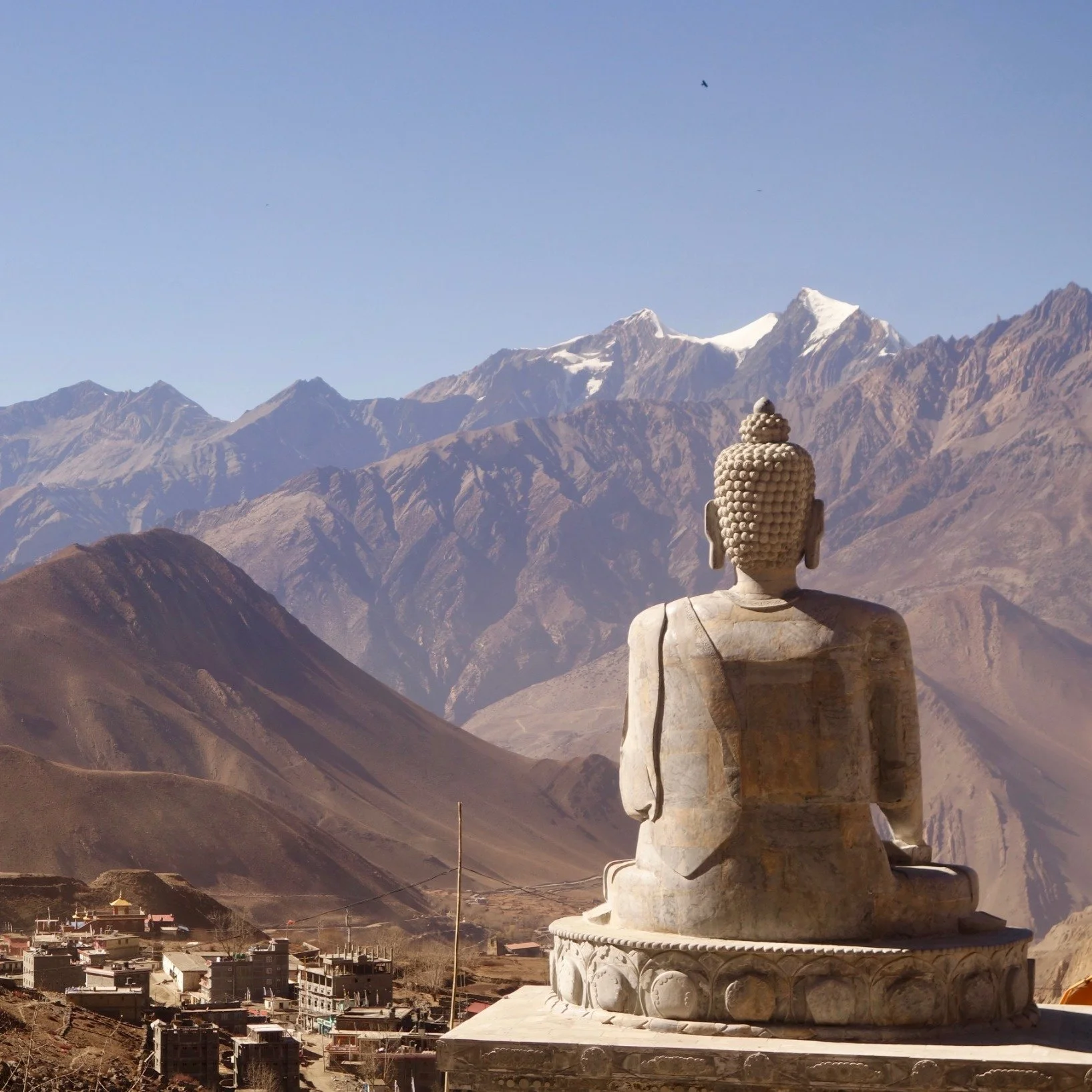 FAR OUT #21 ~ 100 Hours of Meditation in 10 days: Our Experiences and What We’ve Learned