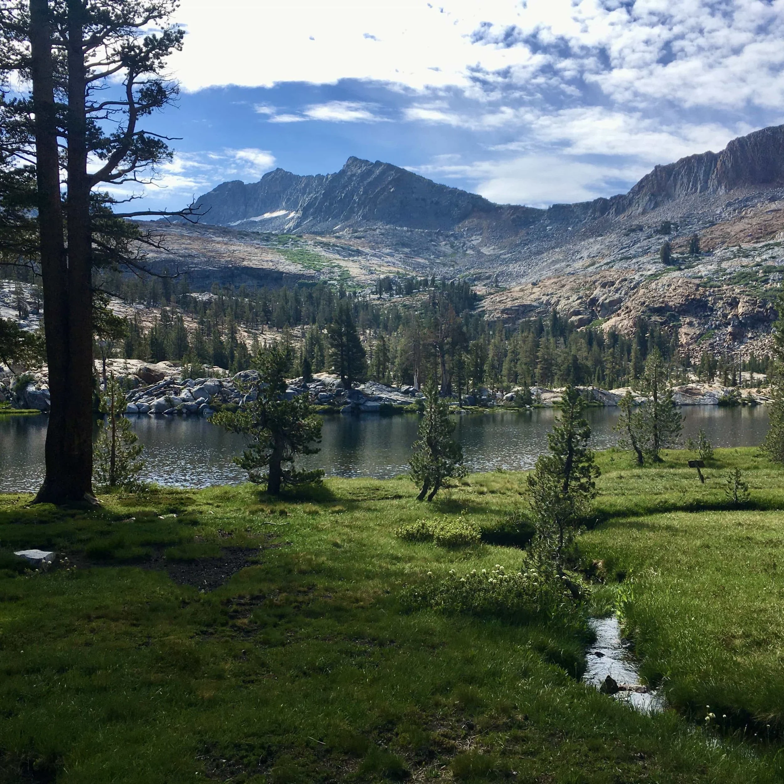 FAR OUT #151 ~ Health: Curing Symptoms vs. Restoring Wholeness