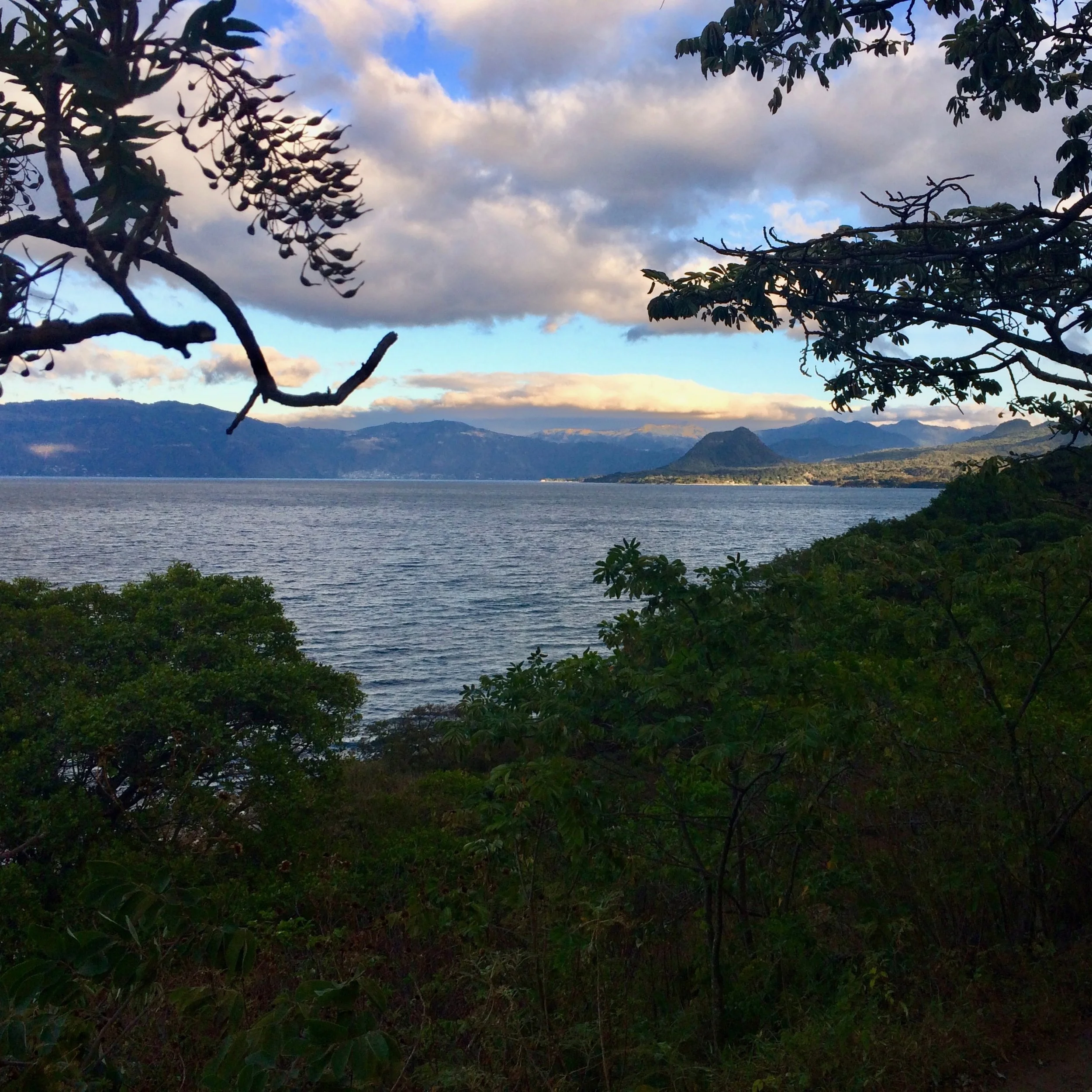 FAR OUT #76 ~ Exploring Ayahuasca: Working with the Medicine (Episode 2)