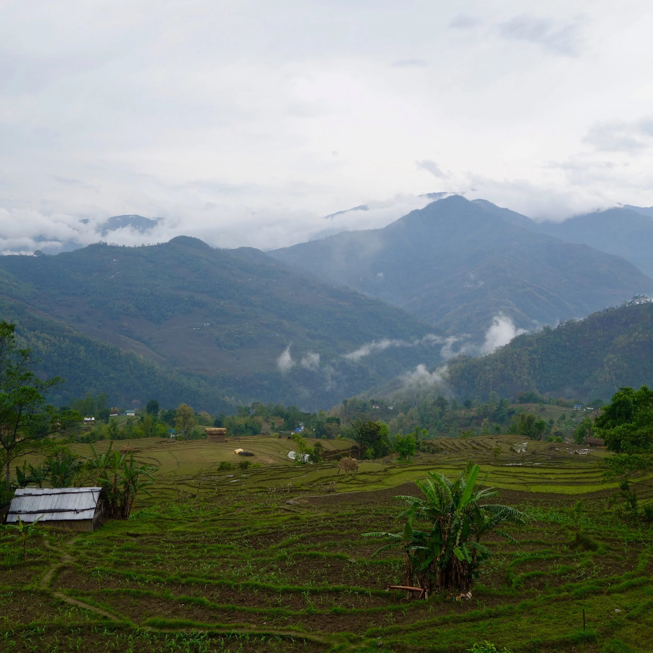 FAR OUT #41 ~ Trekking the Himalayas – Chapter 2: Generous Humans and Wild Beasts