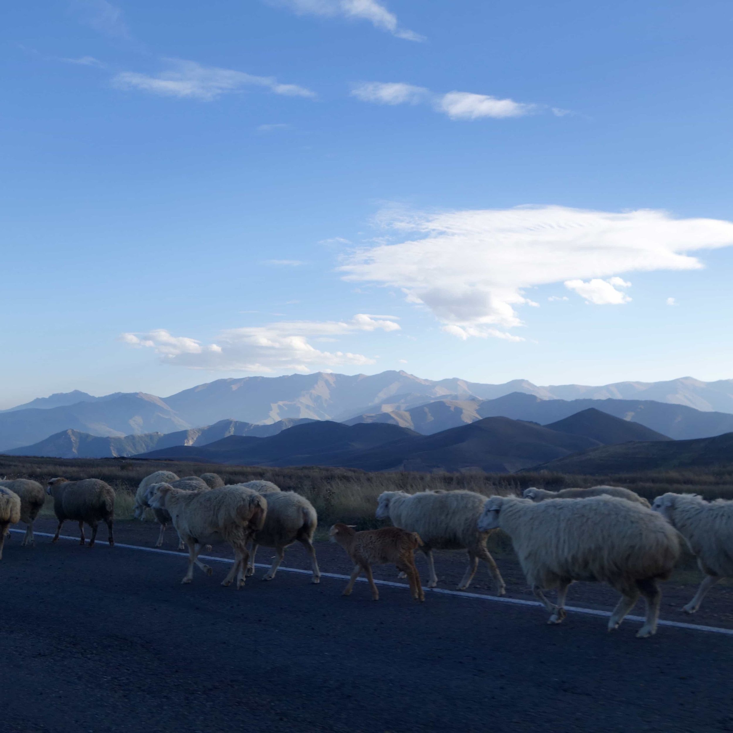 FAR OUT #144 ~ The Problem with Surrounding Yourself with Like-Minded People