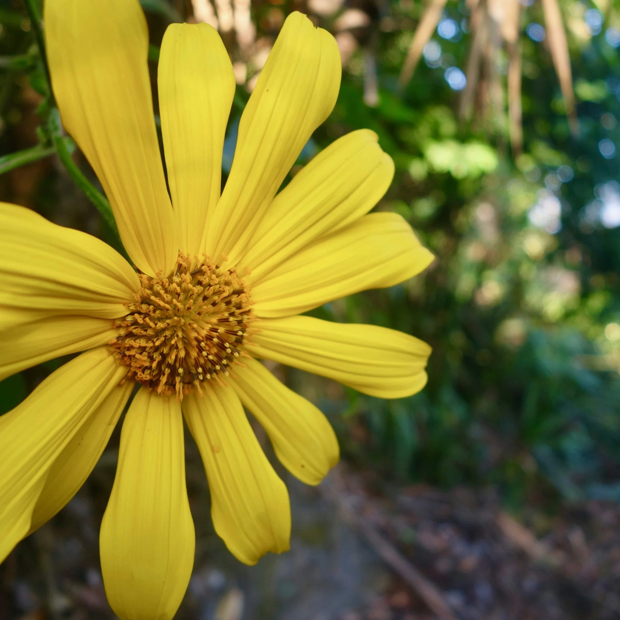 FAR OUT #60 ~ The Spirituality of Podcasting