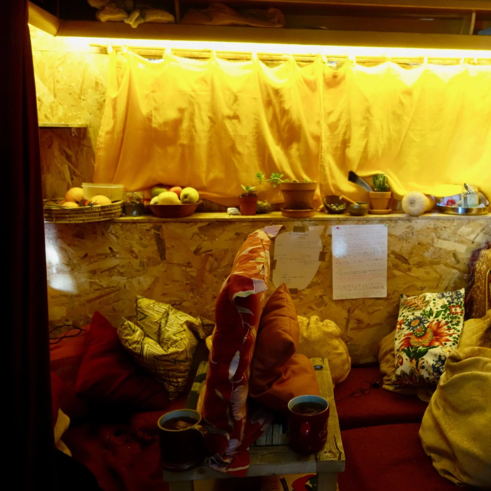 FAR OUT #20 ~ 20 Episodes Later: What’s Changed Since We Started a Podcast