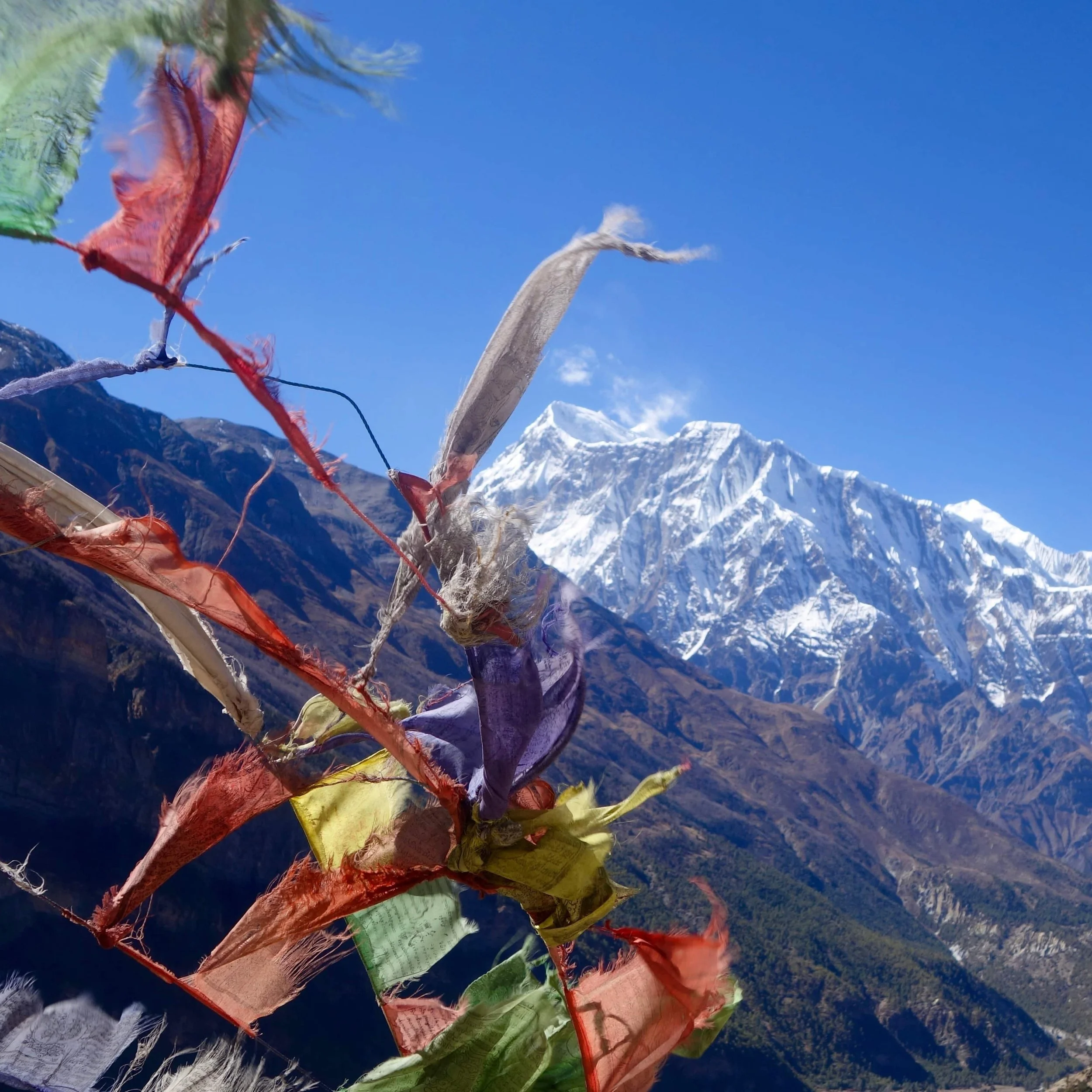 FAR OUT #50 ~ Where the Podcast is Going