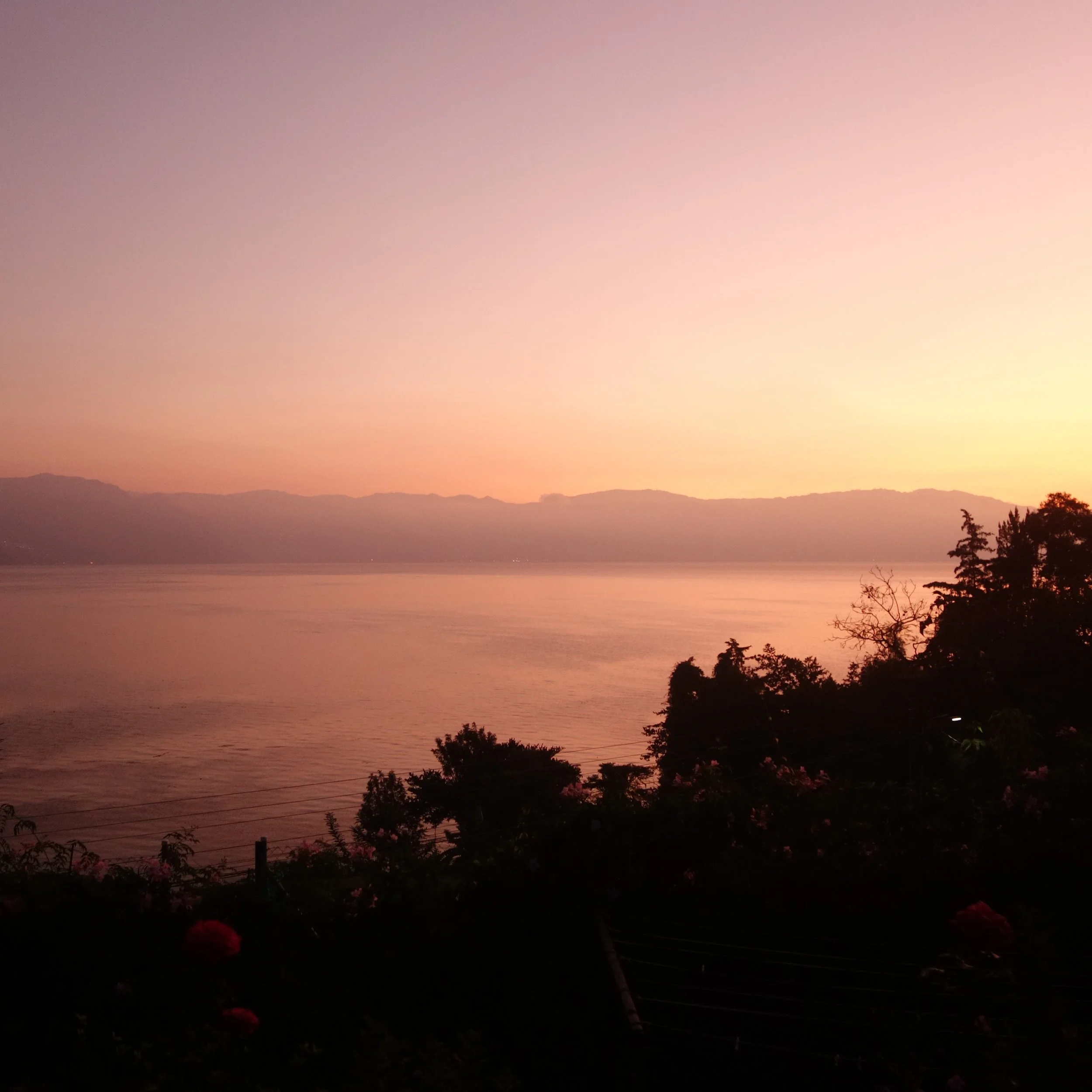 FAR OUT #55 ~ What It Means to be Highly Sensitive