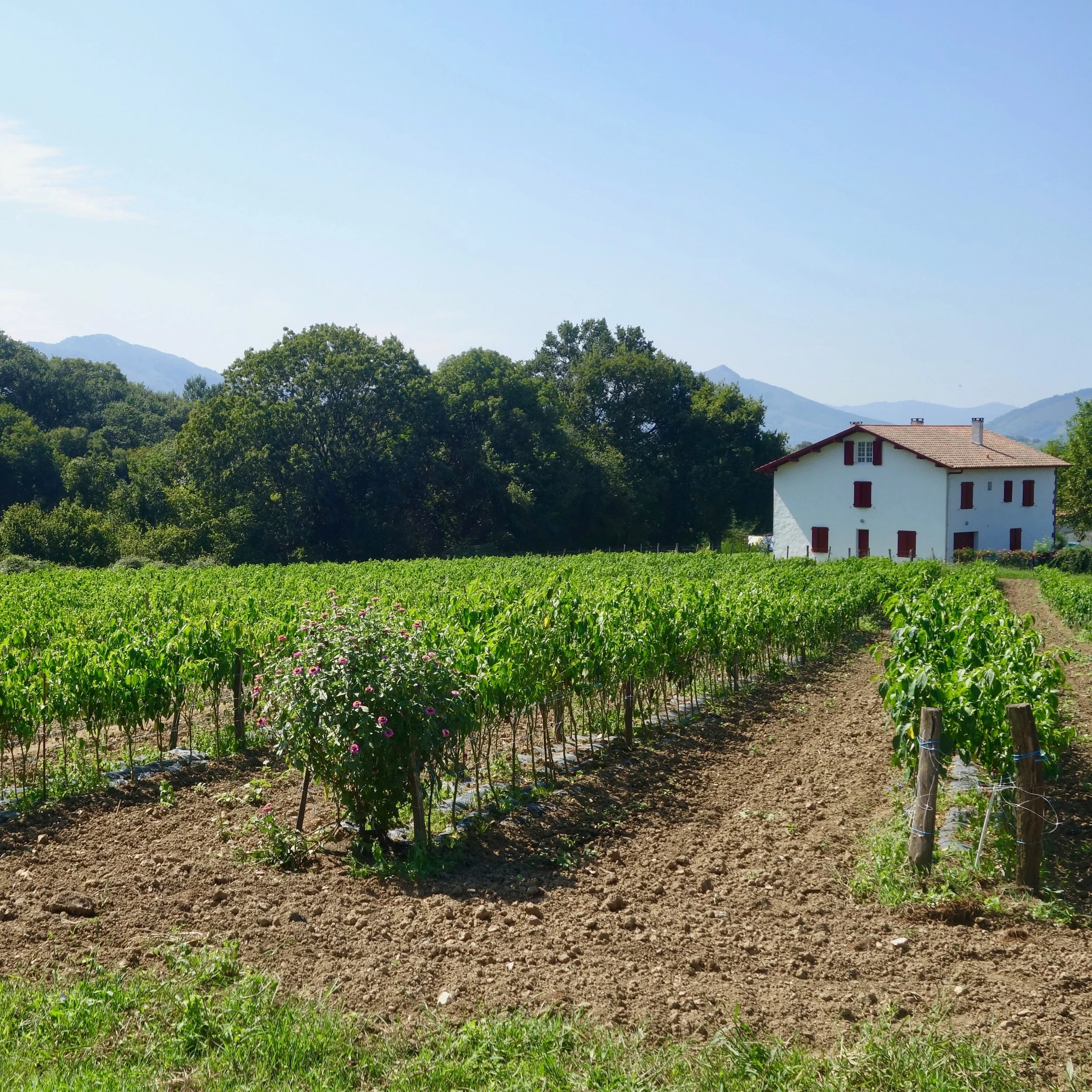 FAR OUT #47 ~ If France and the U.S. Could Talk…