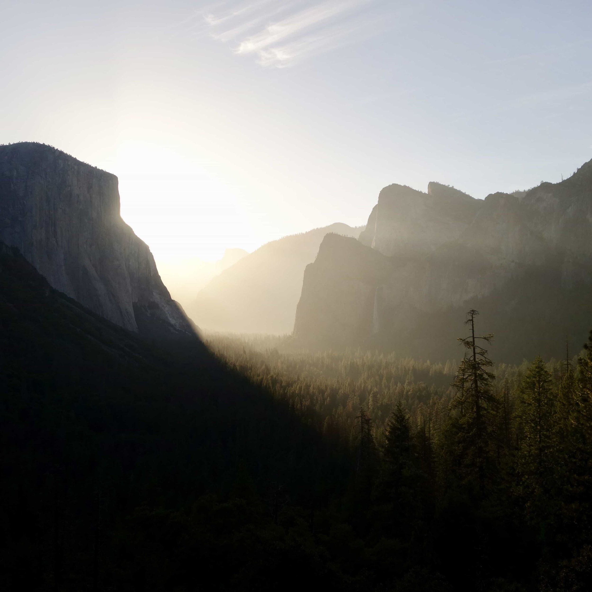 FAR OUT #138 ~ Wilderness &amp; the Four Facets of Nature