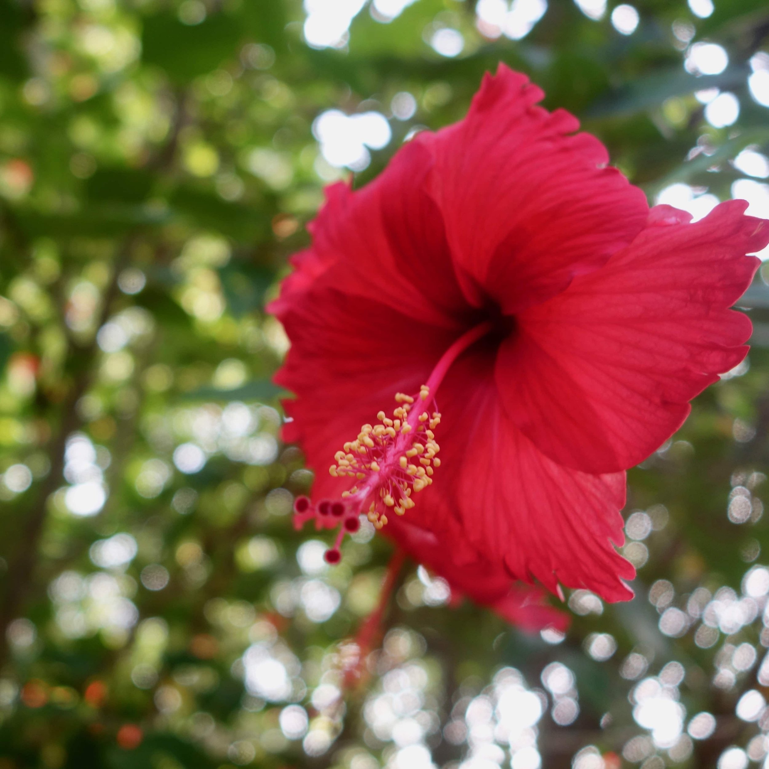 FAR OUT #45 ~ The Art of Creative Writing