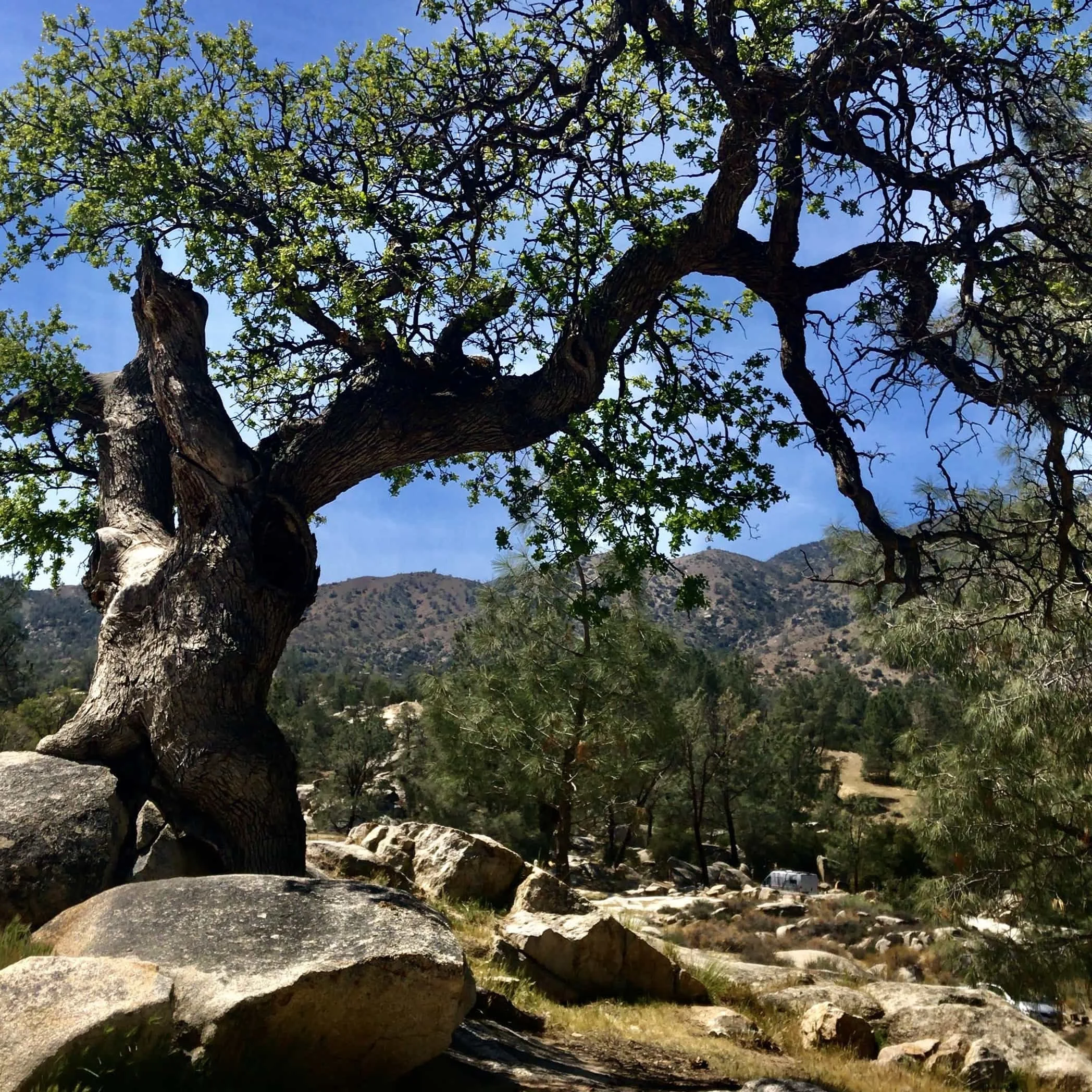 FAR OUT #127 ~ Being That Kind of Person