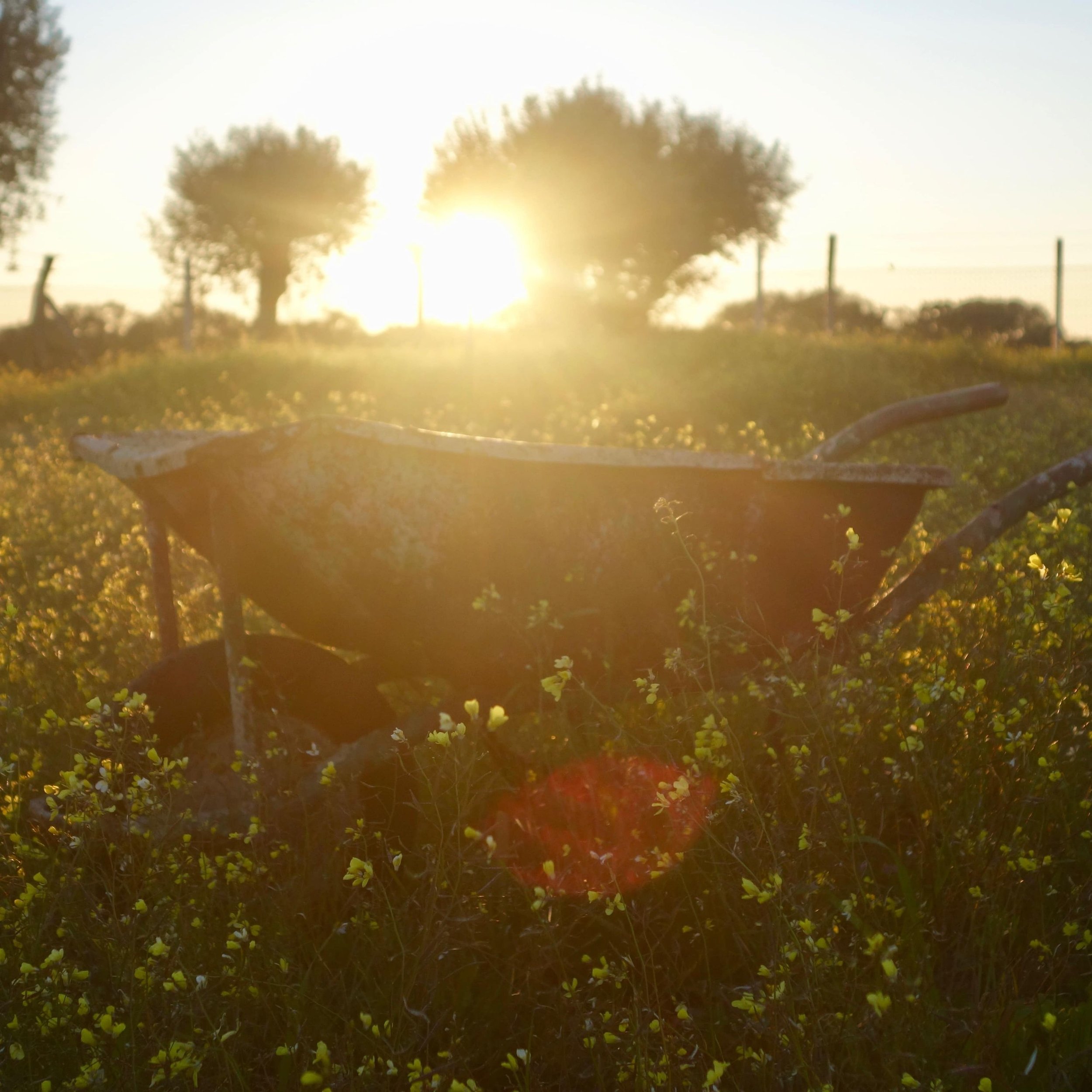 FAR OUT #86 ~ Rest as a Revolutionary Act