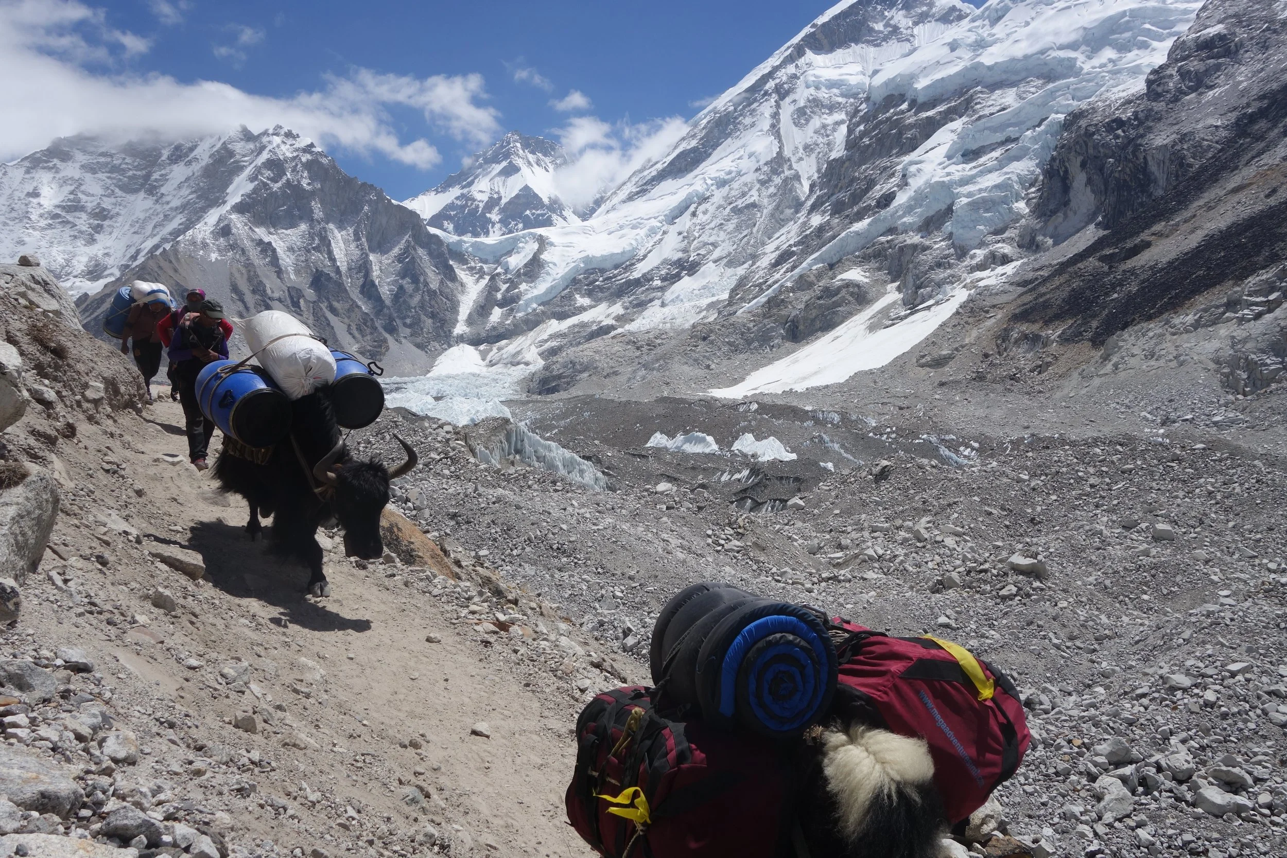 FAR OUT #173 ~ You Gotta Want Help to Get Help