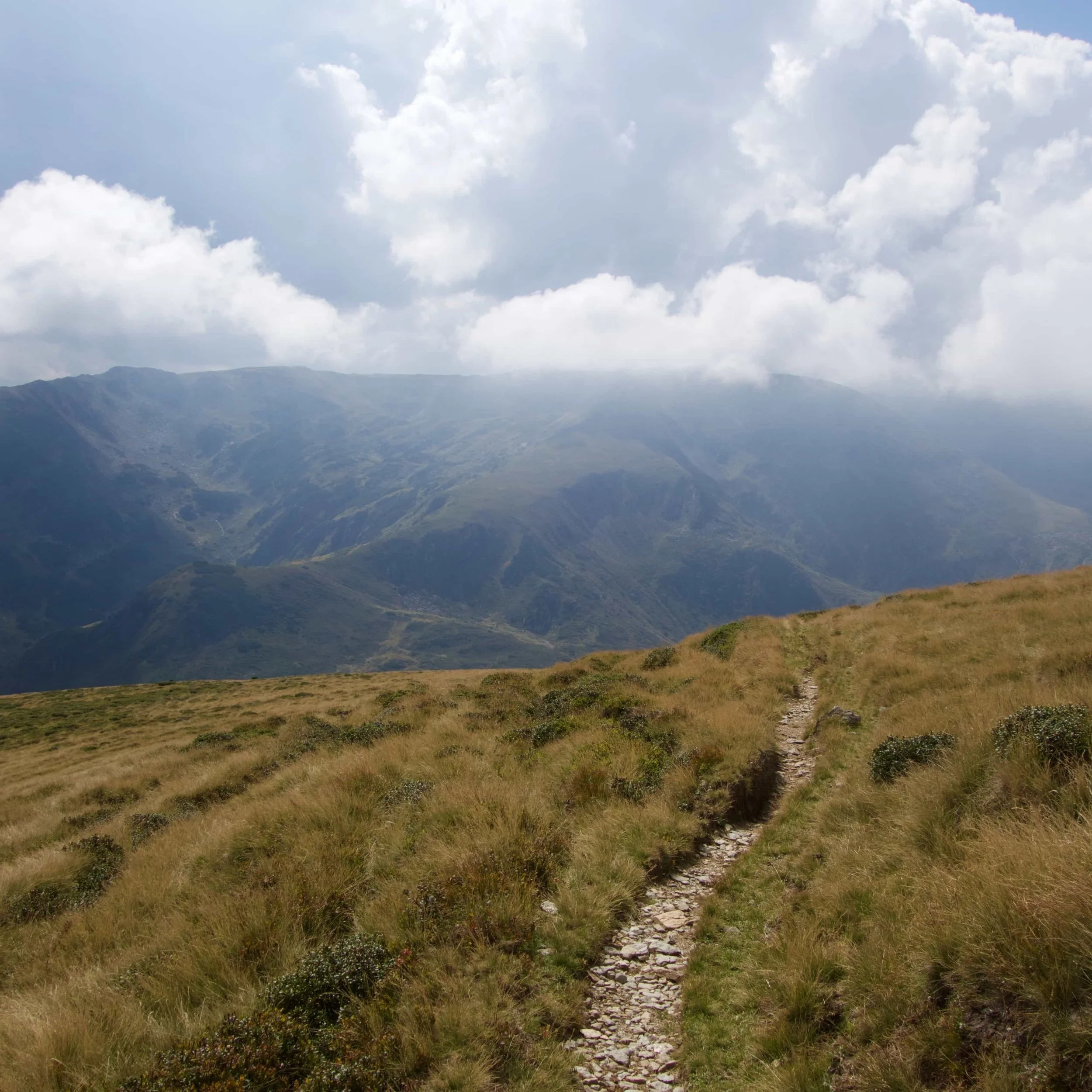 FAR OUT #132 ~ Integration Practices: A Path Toward Lasting Change