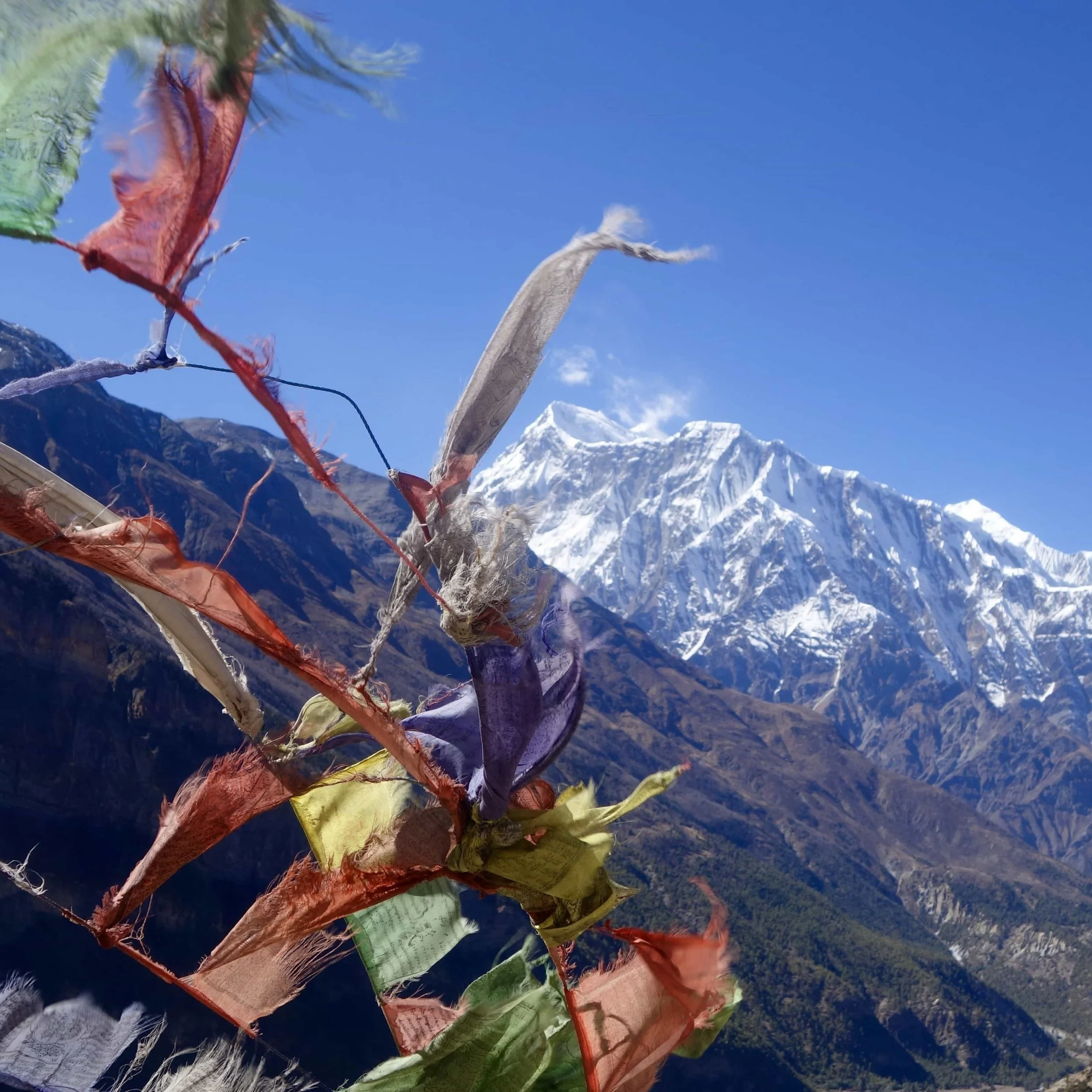 FAR OUT #139 ~ What Does it Mean to Live a Life of Service?