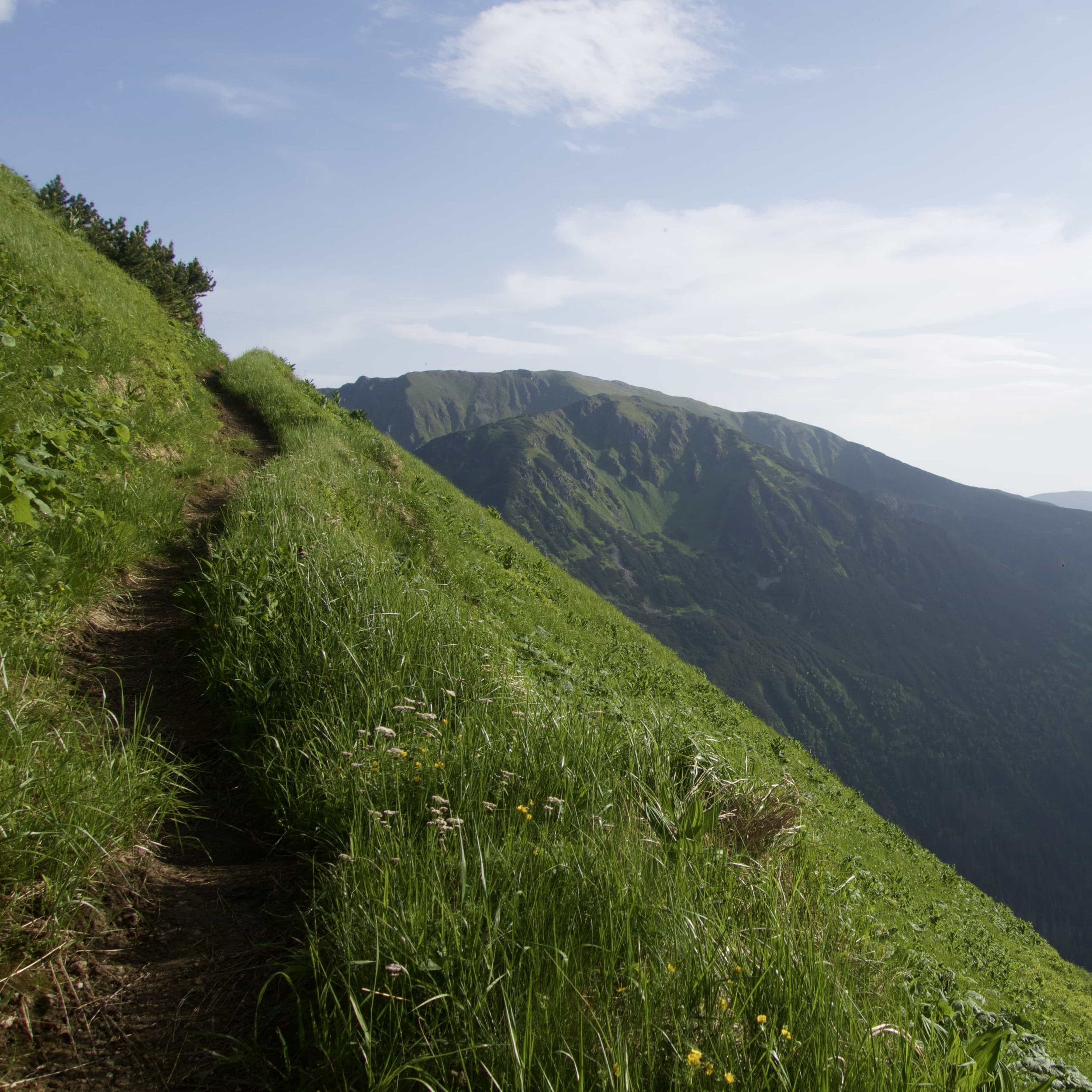 FAR OUT #153 ~ Making Mistakes: It’s Not “If,” It’s “When”