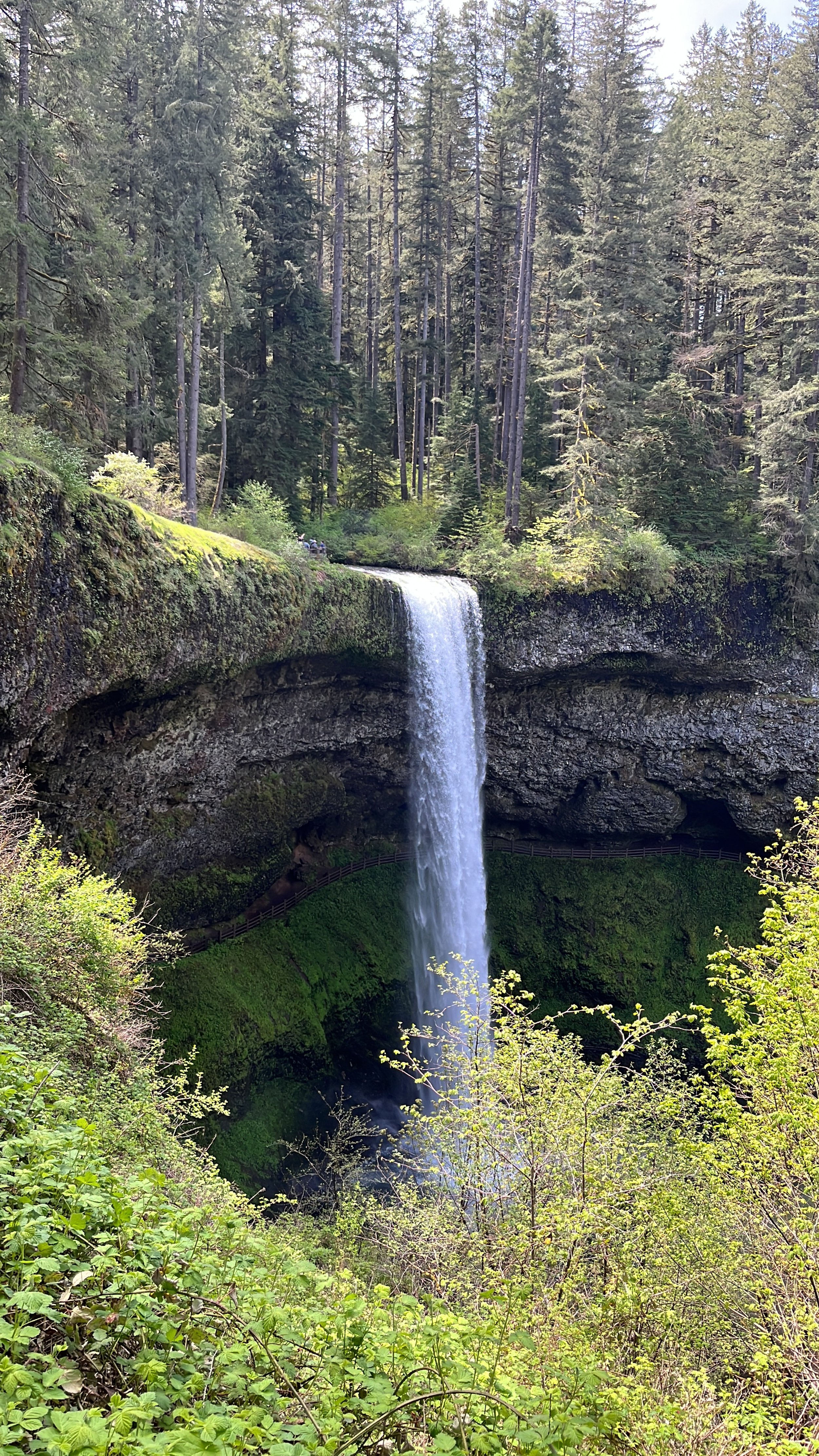 FAR OUT #179 ~ Sacred Space, Mythological Thinking &amp; Alchemical Transformation