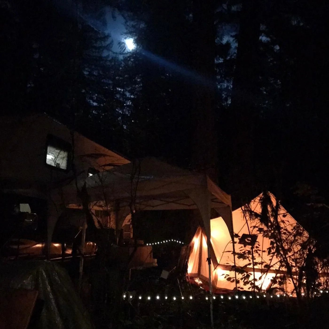 FAR OUT #150 ~ Leveling Up: The Nonlinear Path of Progress