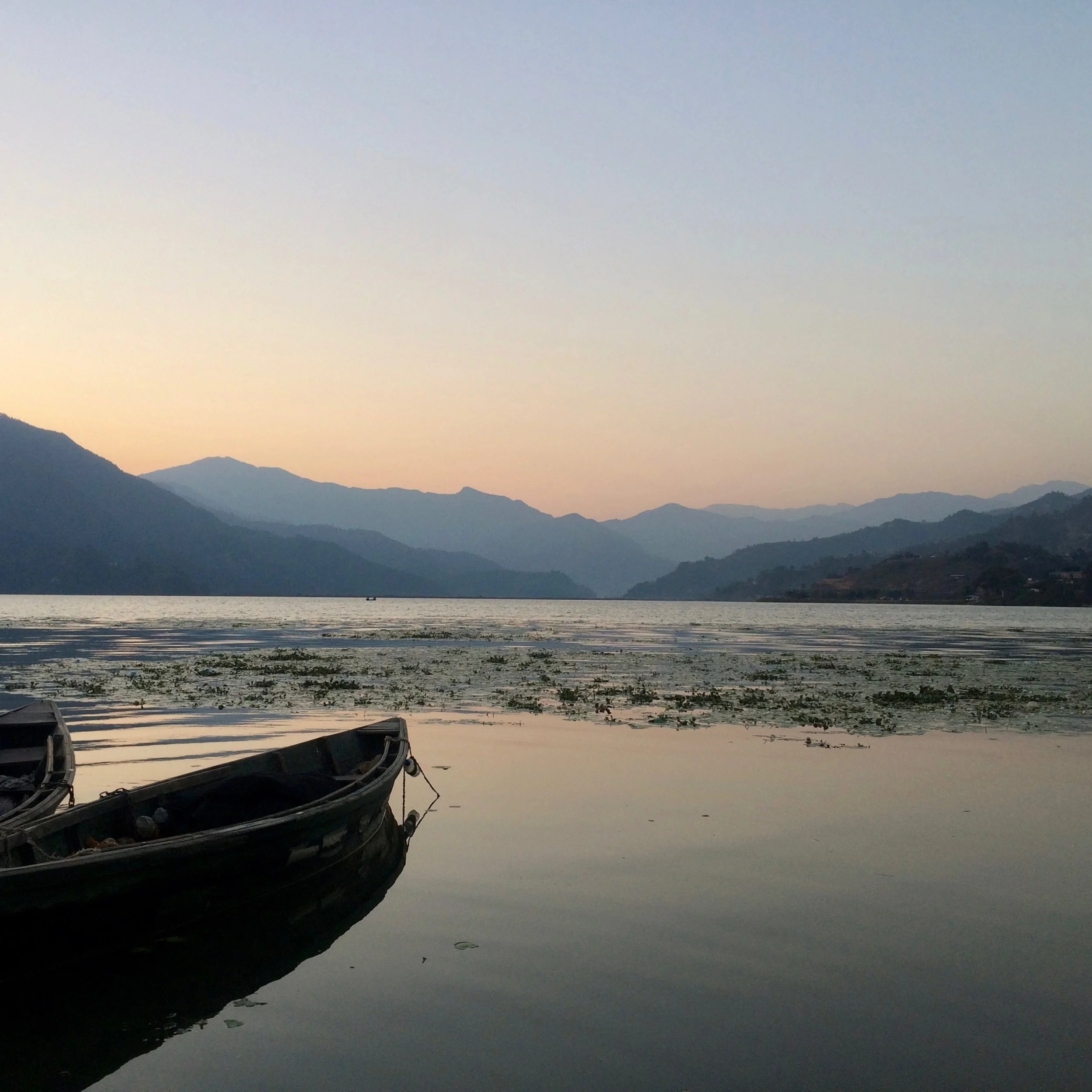 FAR OUT #48 ~ Vacation Vision &amp; Graduation Goggles