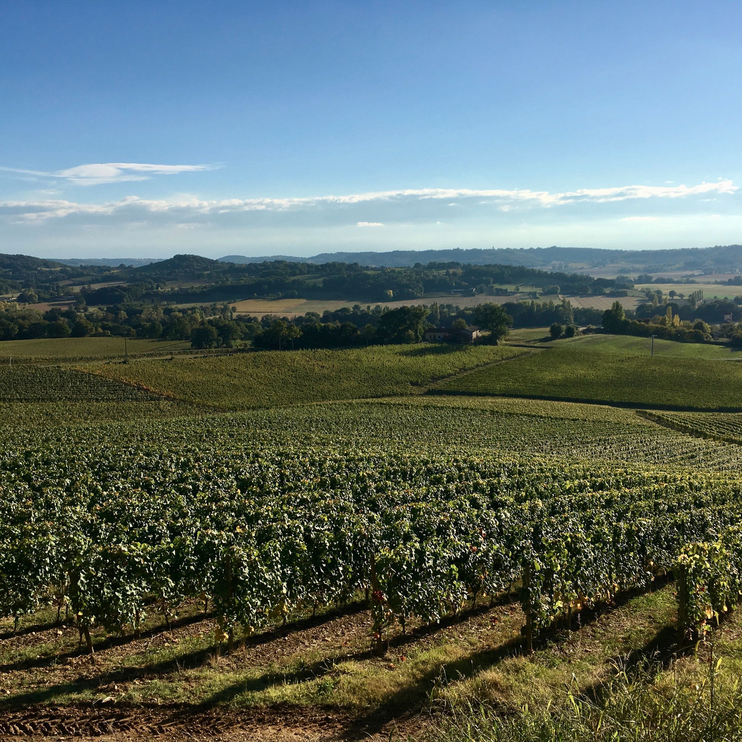 FAR OUT #131 ~ Being a Foreigner in a Foreign Land: The Journey of Immigrating