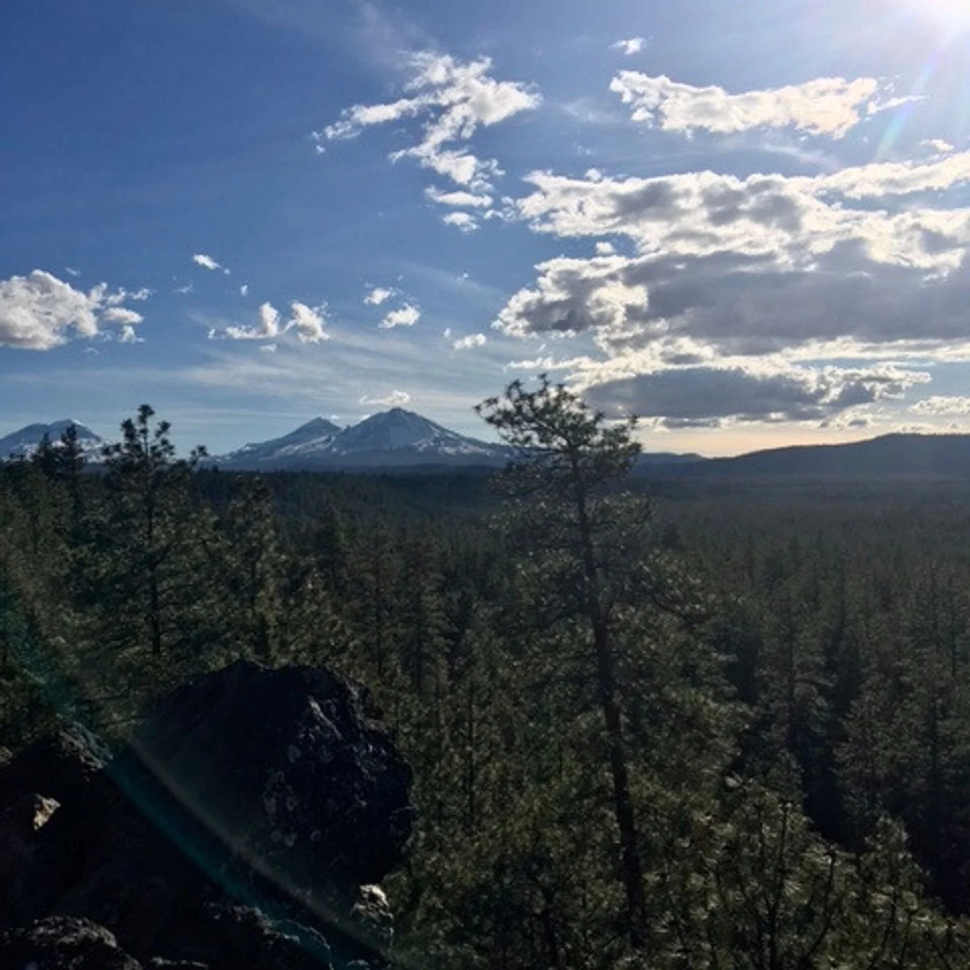 FAR OUT #134 ~ Faith, Vision and Business: Building Wild Within