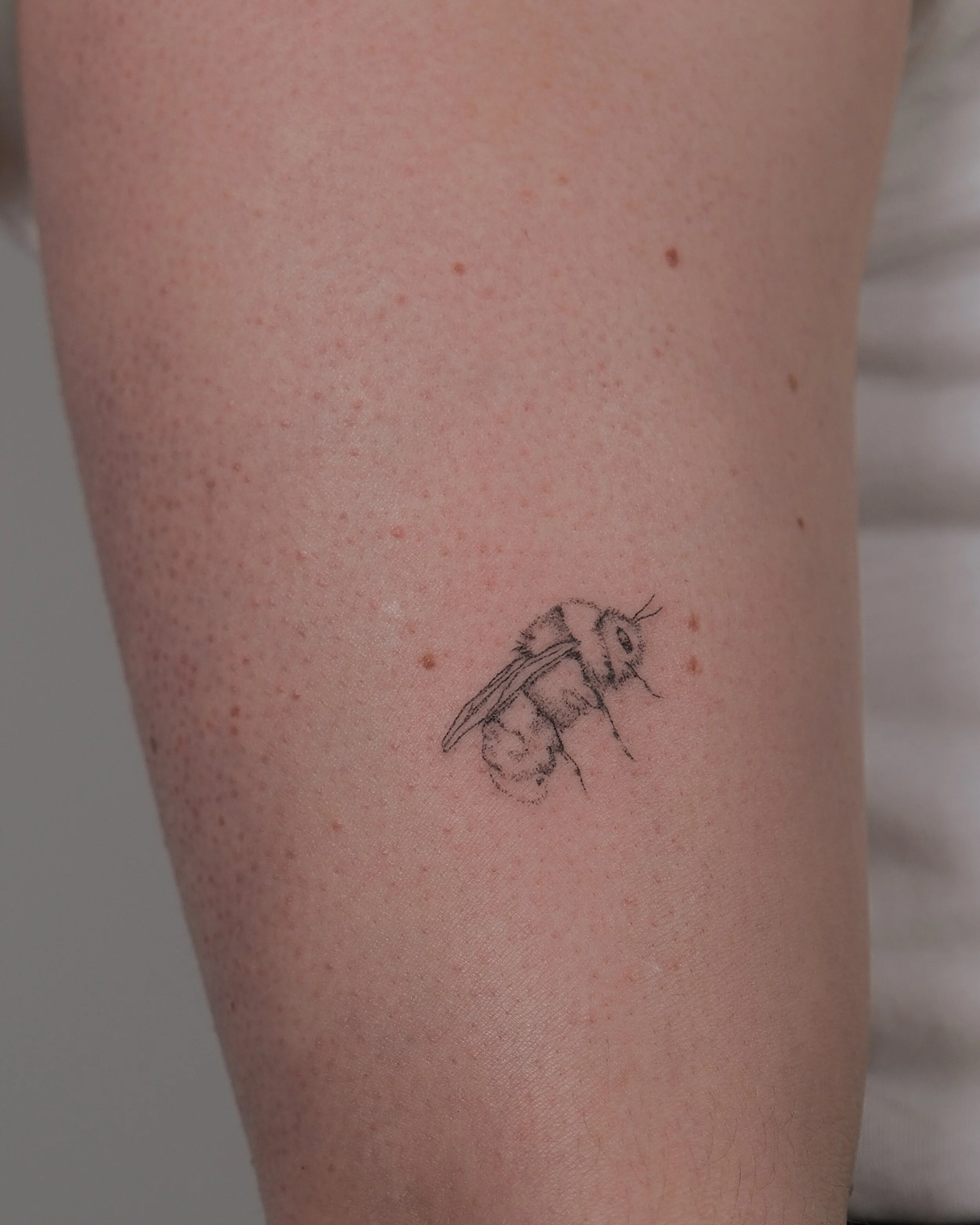 DSCF7949.jpg