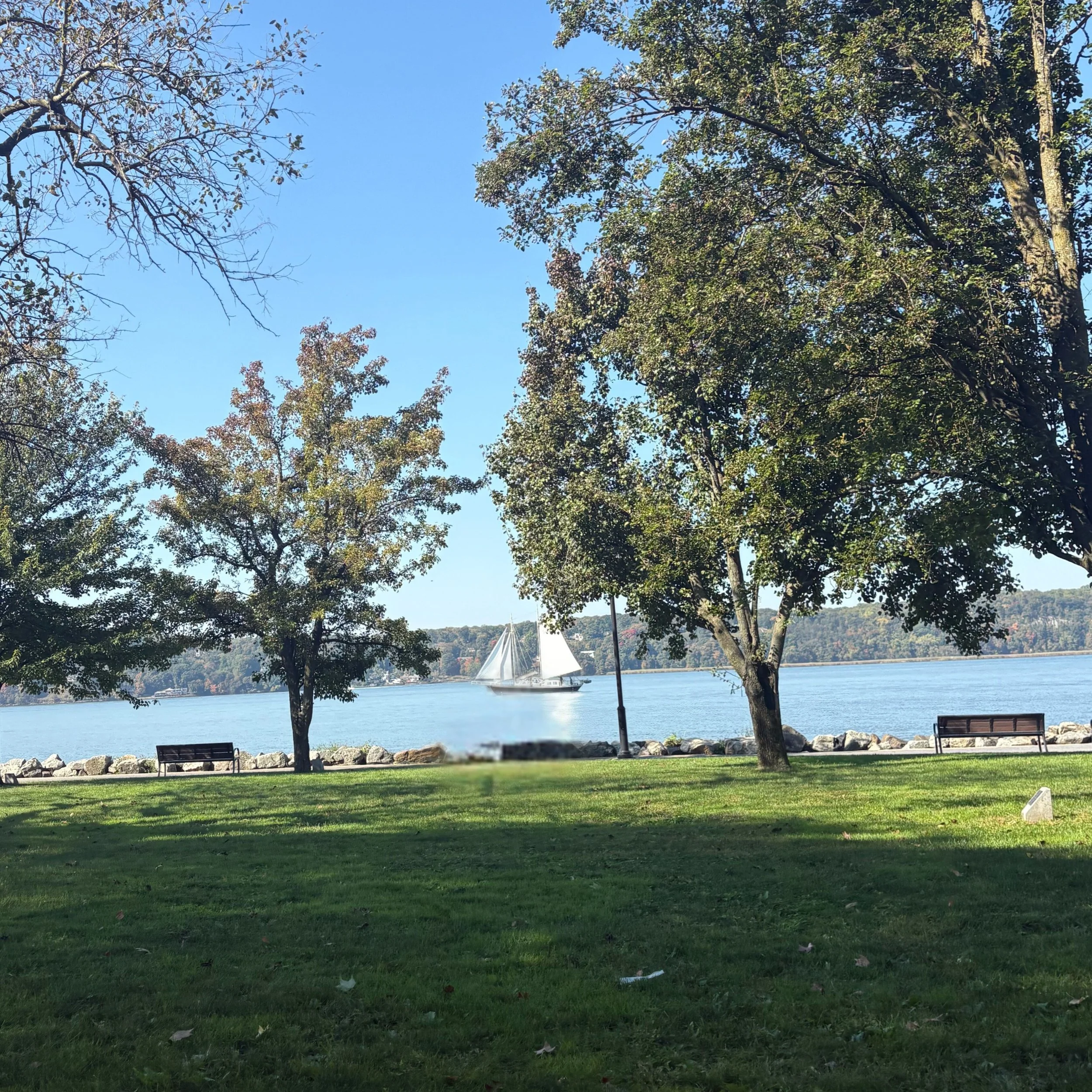 Wickers Creek Market