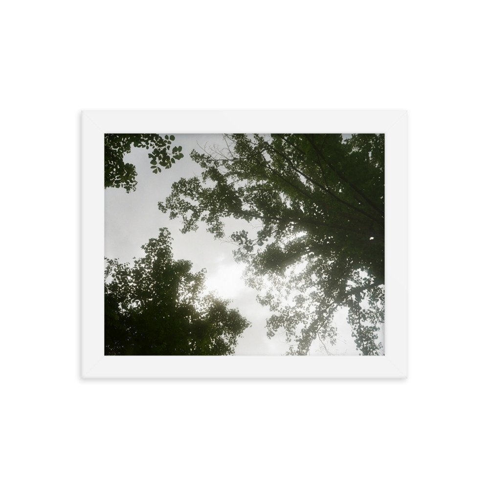 Film Print. Perfect for hanging on the wall. Goes well with plants and furniture.