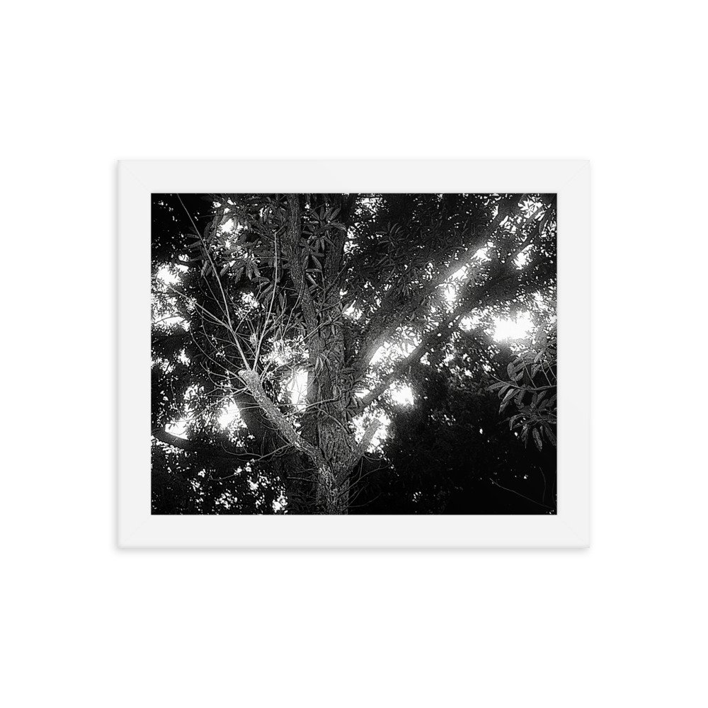 Film Print. Perfect for hanging on the wall. Goes well with plants and furniture.