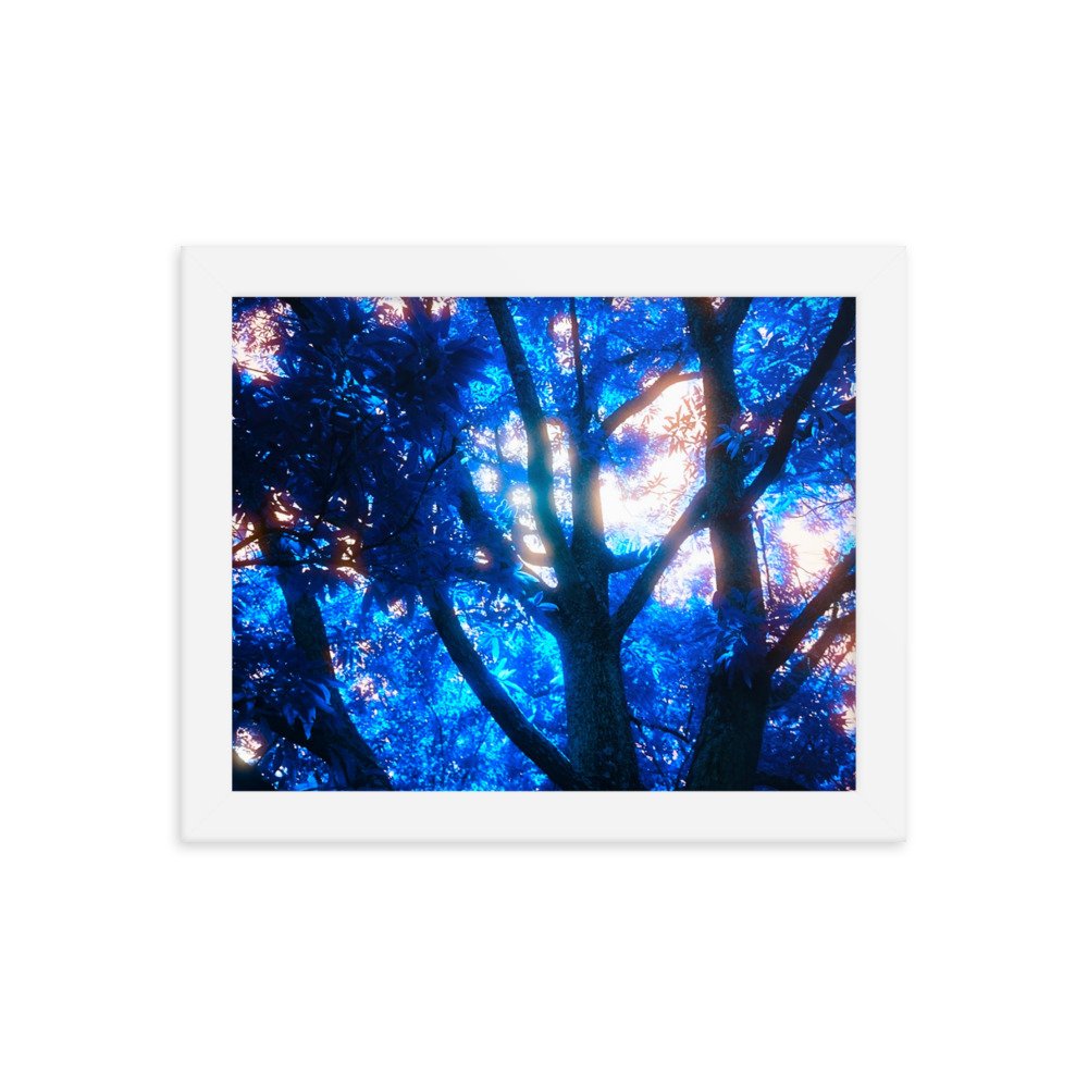 Film Print. Perfect for hanging on the wall. Goes well with plants and furniture.