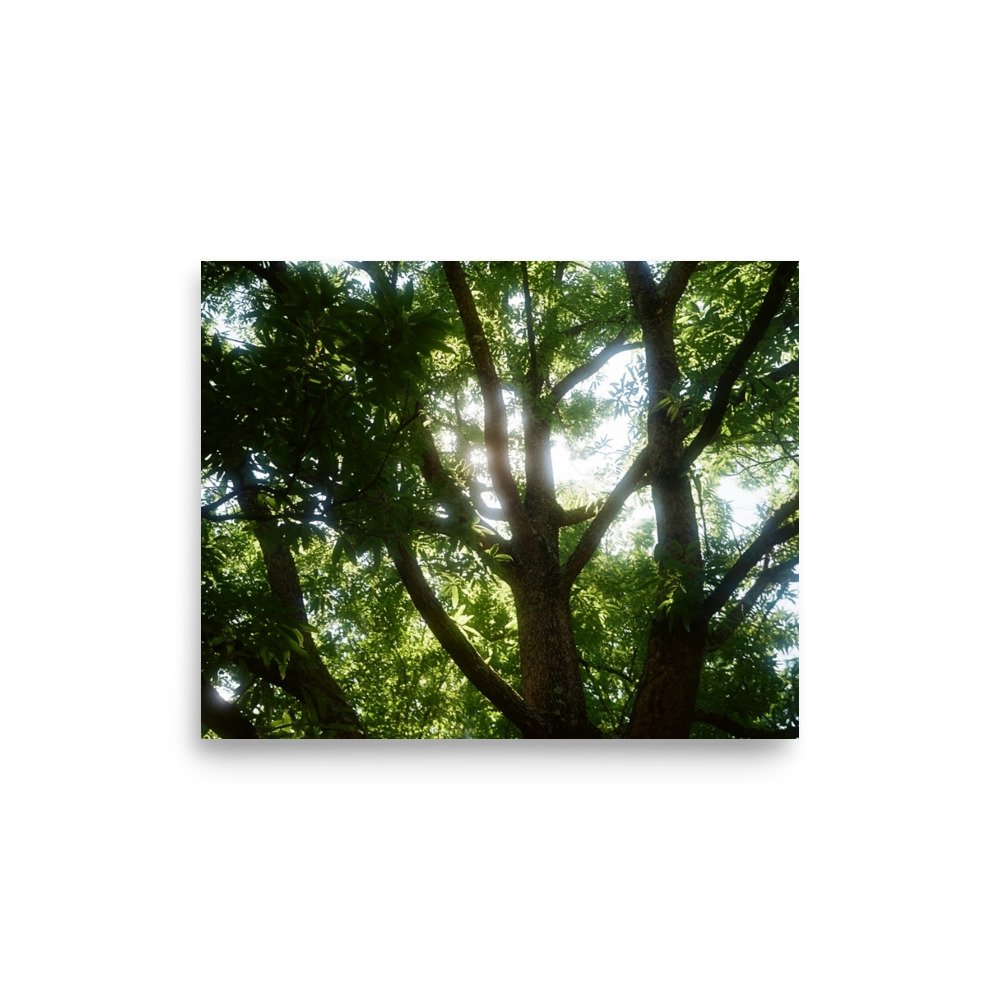 Film Print. Perfect for hanging on the wall. Goes well with plants and furniture.