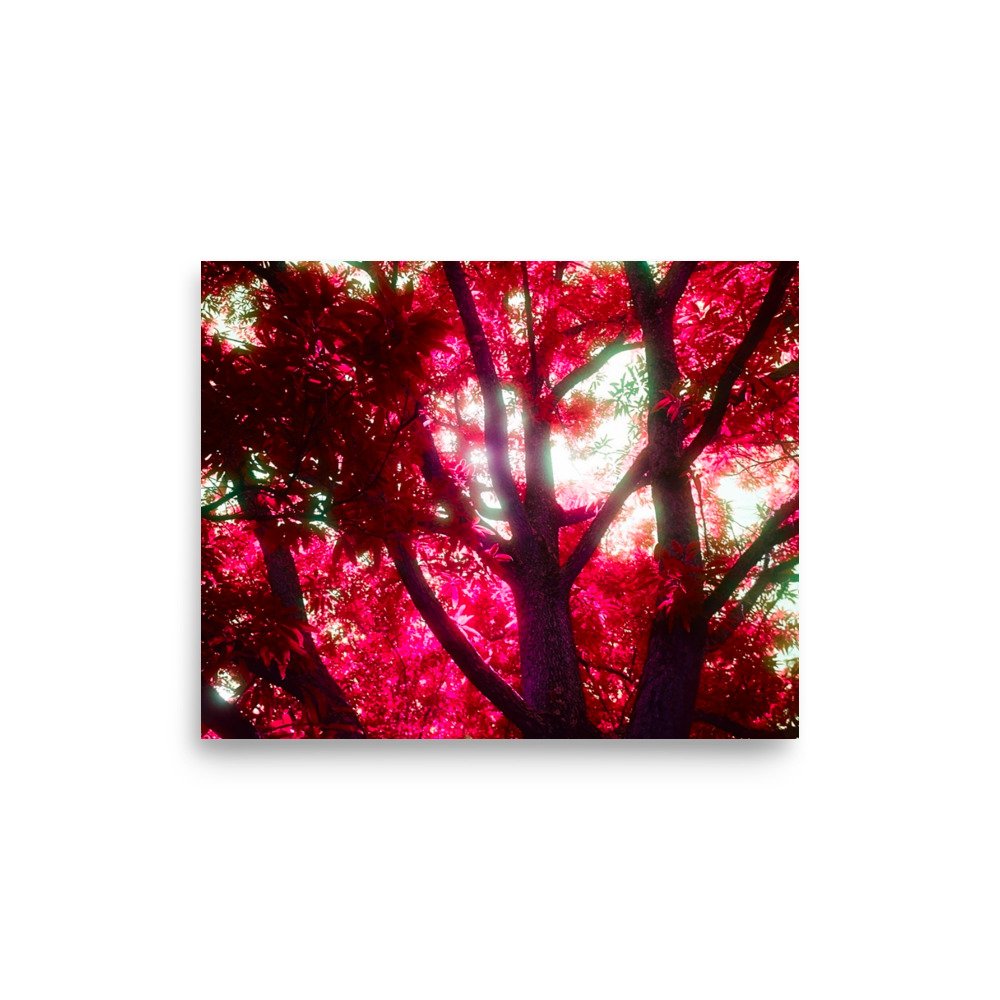 Film Print. Perfect for hanging on the wall. Goes well with plants and furniture.