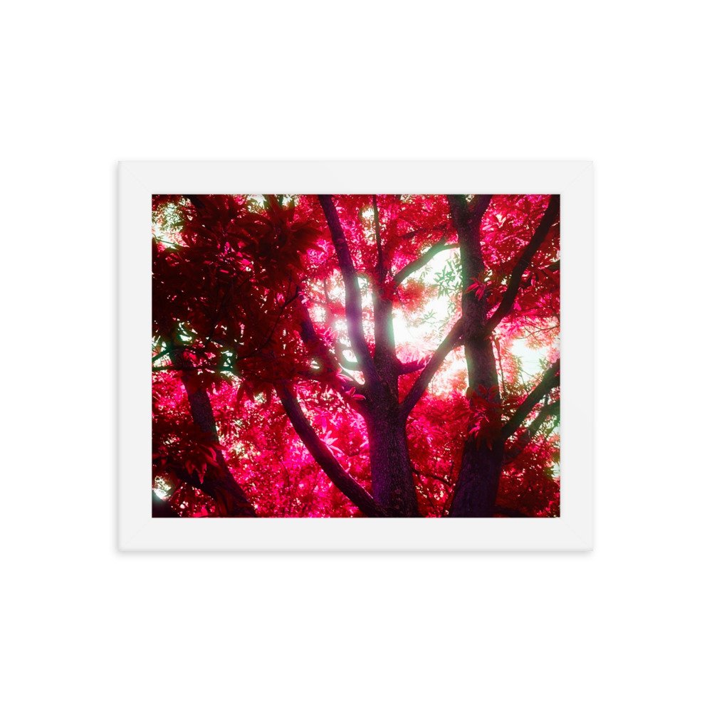 Film Print. Perfect for hanging on the wall. Goes well with plants and furniture.