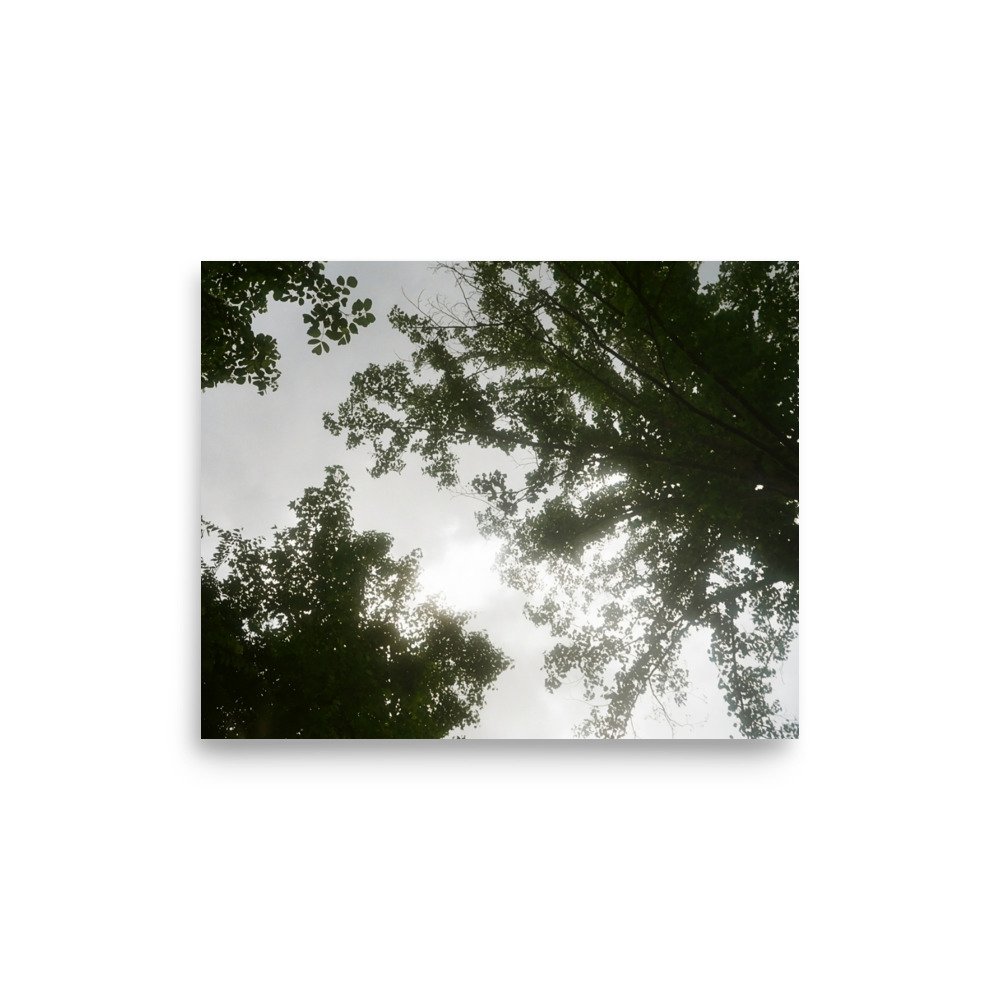 Film Print. Perfect for hanging on the wall. Goes well with plants and furniture.