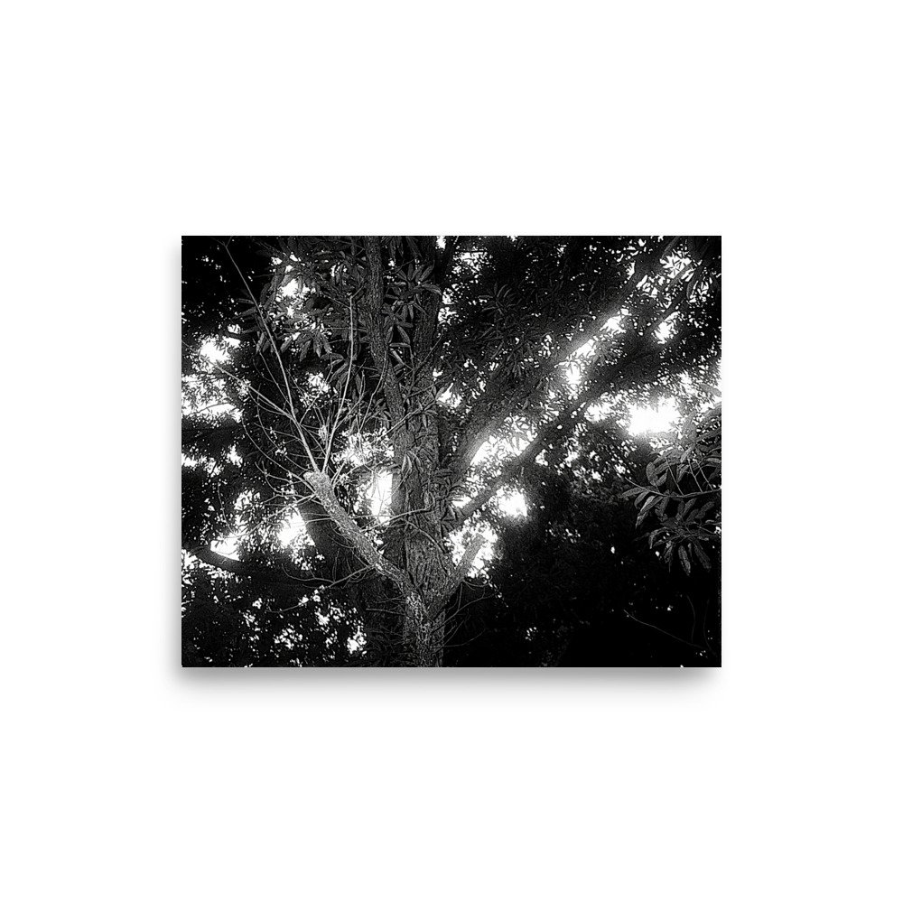Film Print. Perfect for hanging on the wall. Goes well with plants and furniture.
