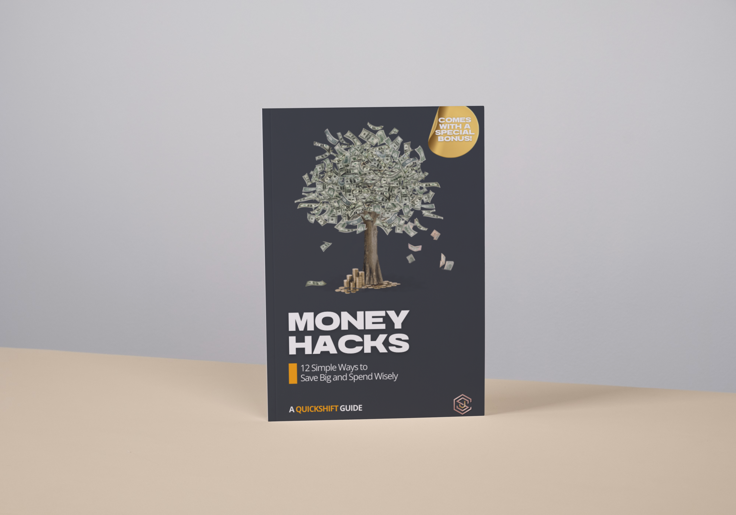MONEY HACKS MOCKUP.png