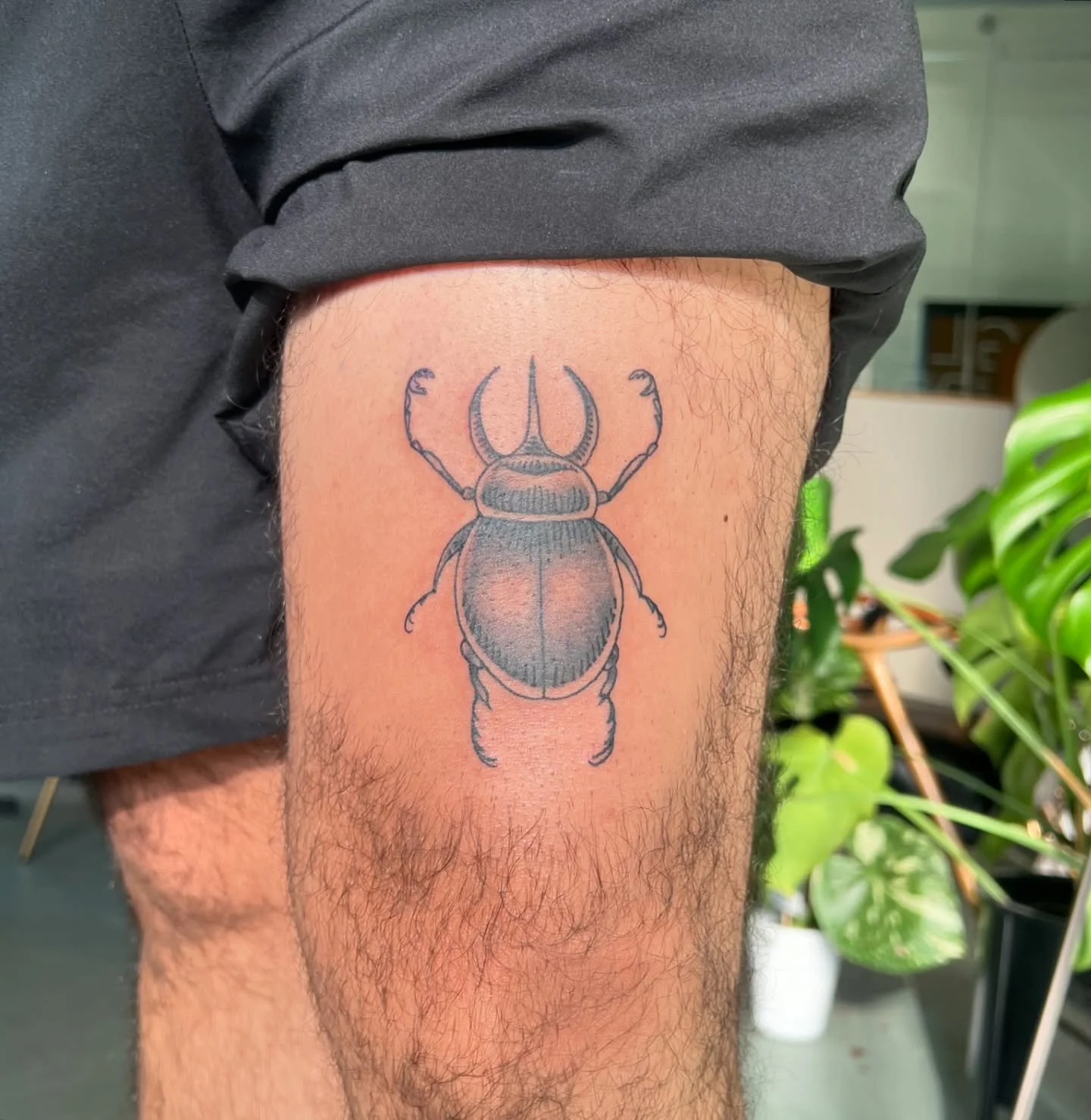 Beetle #2 for @92.edwin_ 🪲
Thank you so much  for coming back for more bugs! Swipe to see summer buggin&rsquo; flash healed from last summer 

#bugtattoo #flashtattoo #portlandtattoo
