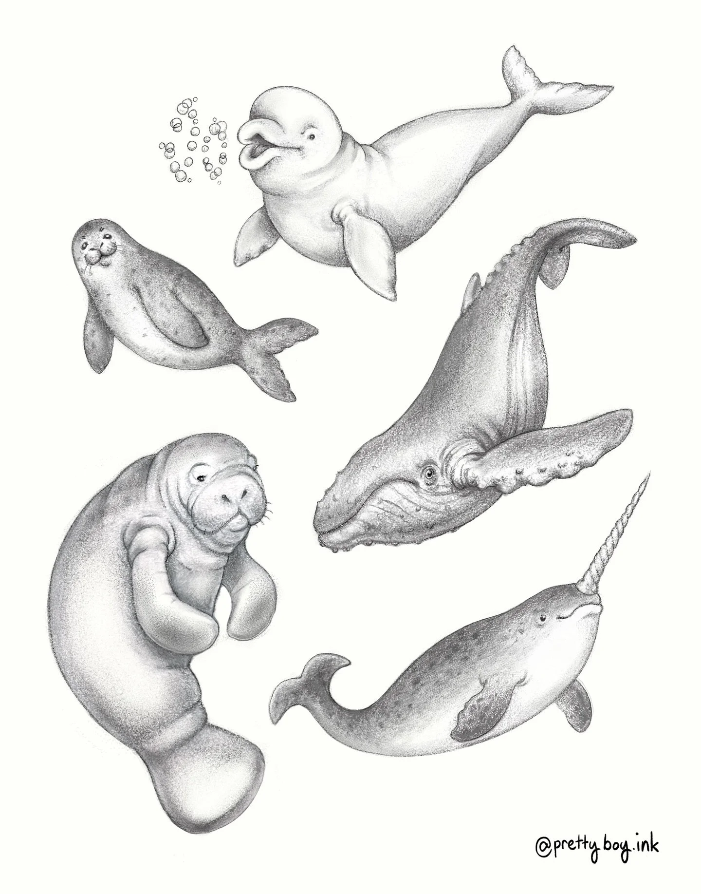 Some sea mammal flash designs! These are a little different from my usual style but I&rsquo;d love to give these guys homes. 

Pricing $150-$300 depending on size. DM if you have any questions. Flexible pricing available for my buds on a budget as al