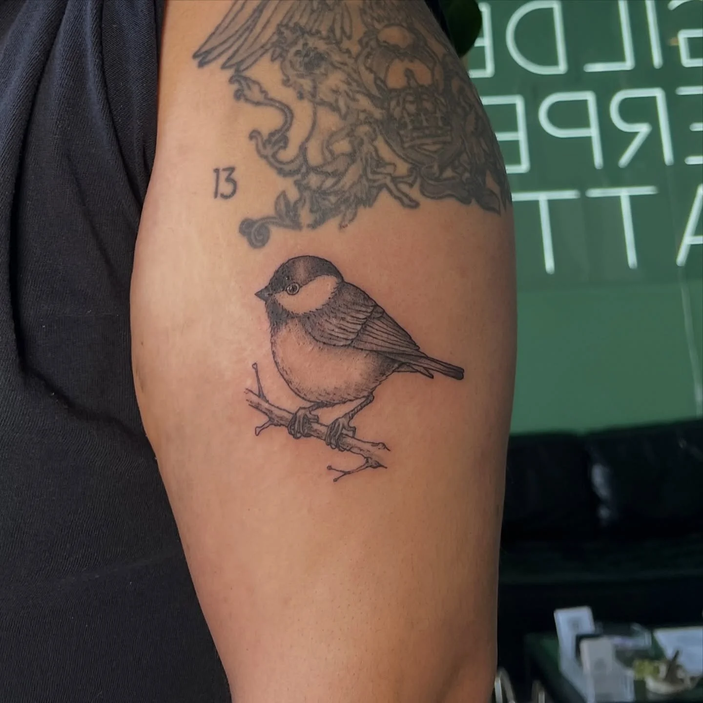 Is the best thing a bird can be round? Probably 🪶
Thank you Claire for coming to me with this fun project, I had a wonderful time bringing this black-capped chickadee to life and it&rsquo;s good to be back in the studio!

 #birdtattoo #portlandbirdi