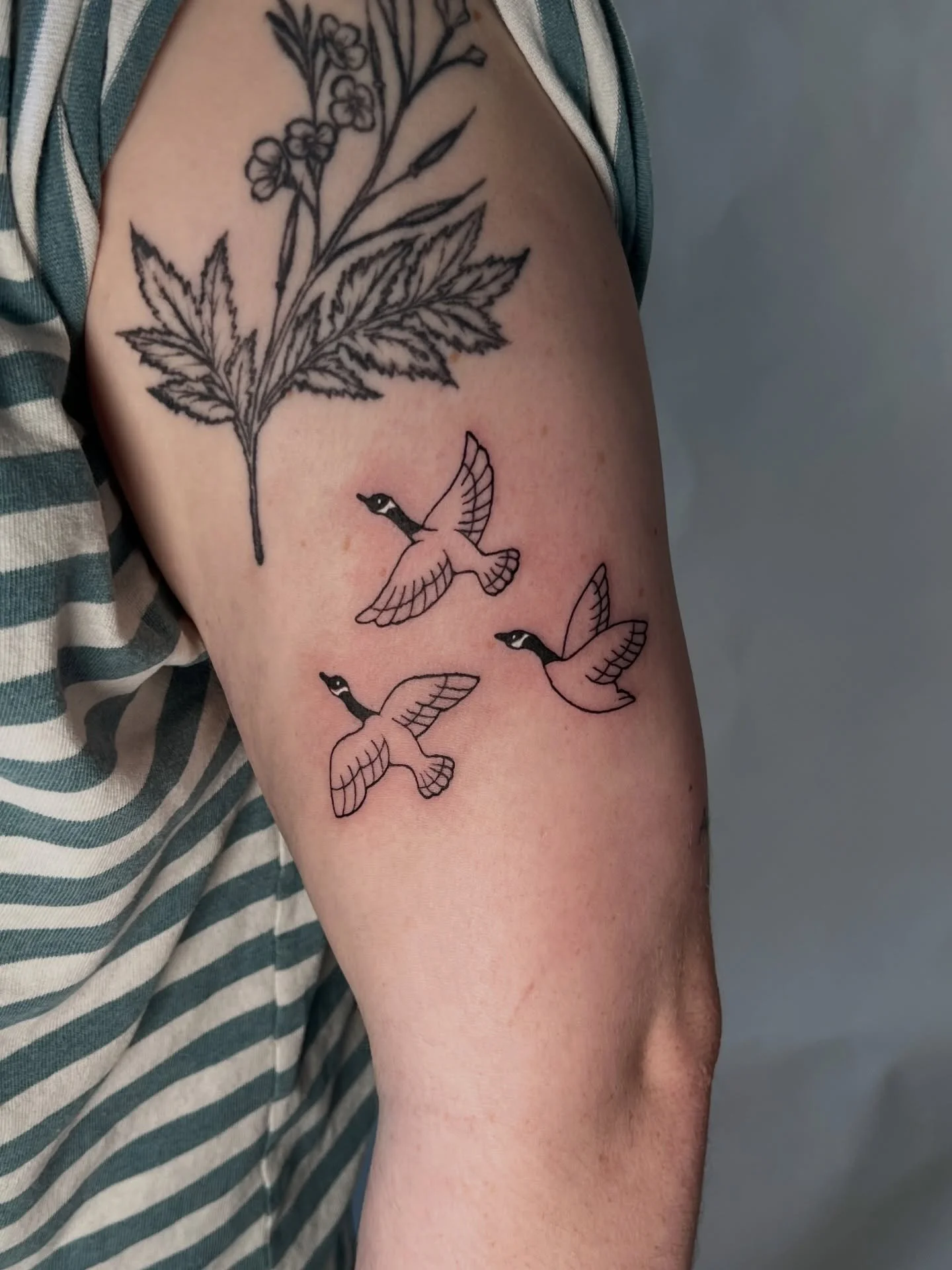 Some cutie Canadian geese for @emmajoyschmitt 🪿 
Thank you for bringing me this fun project! ✨

#customtattoo #portlandtattoo #birdtattoos