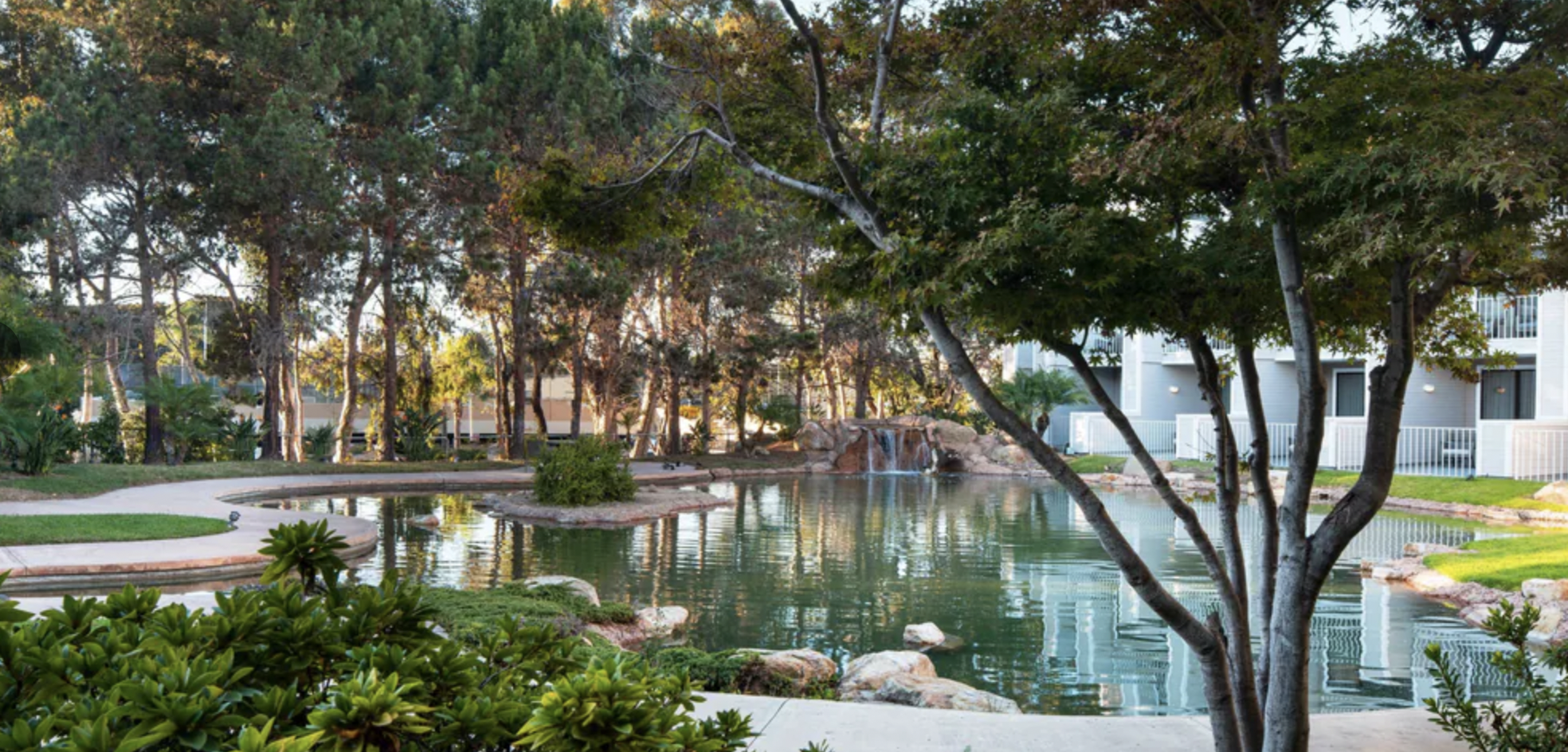 Screen Shot 2024-10-18 at 11.41.26 AM.png