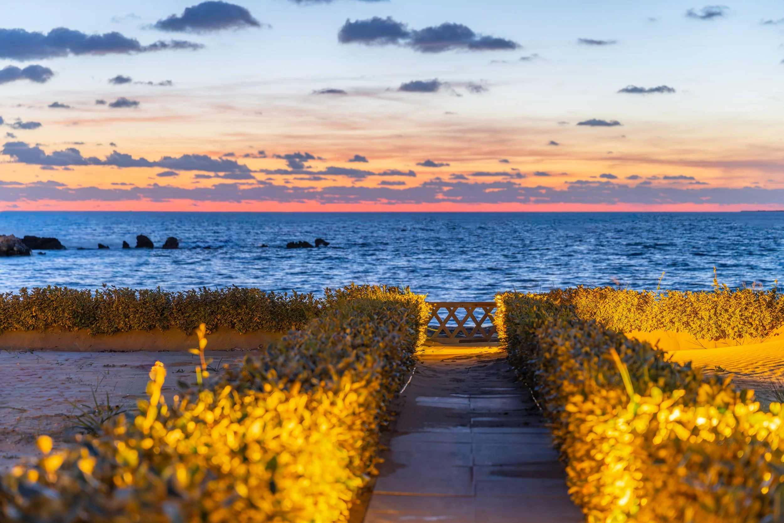 Evening outdoor-13.jpg