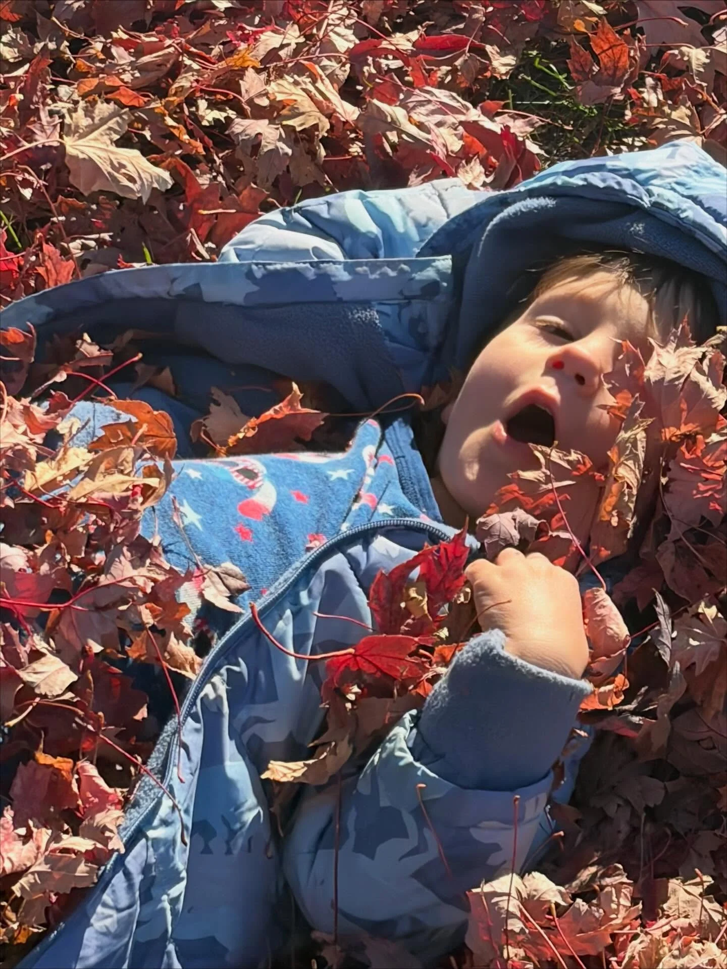 Mrs. Batterson&rsquo;s class enjoyed a nature walk and crunchy leaf play this afternoon (and are looking forward to using their classroom magnifying glass to look at their finds up close!).