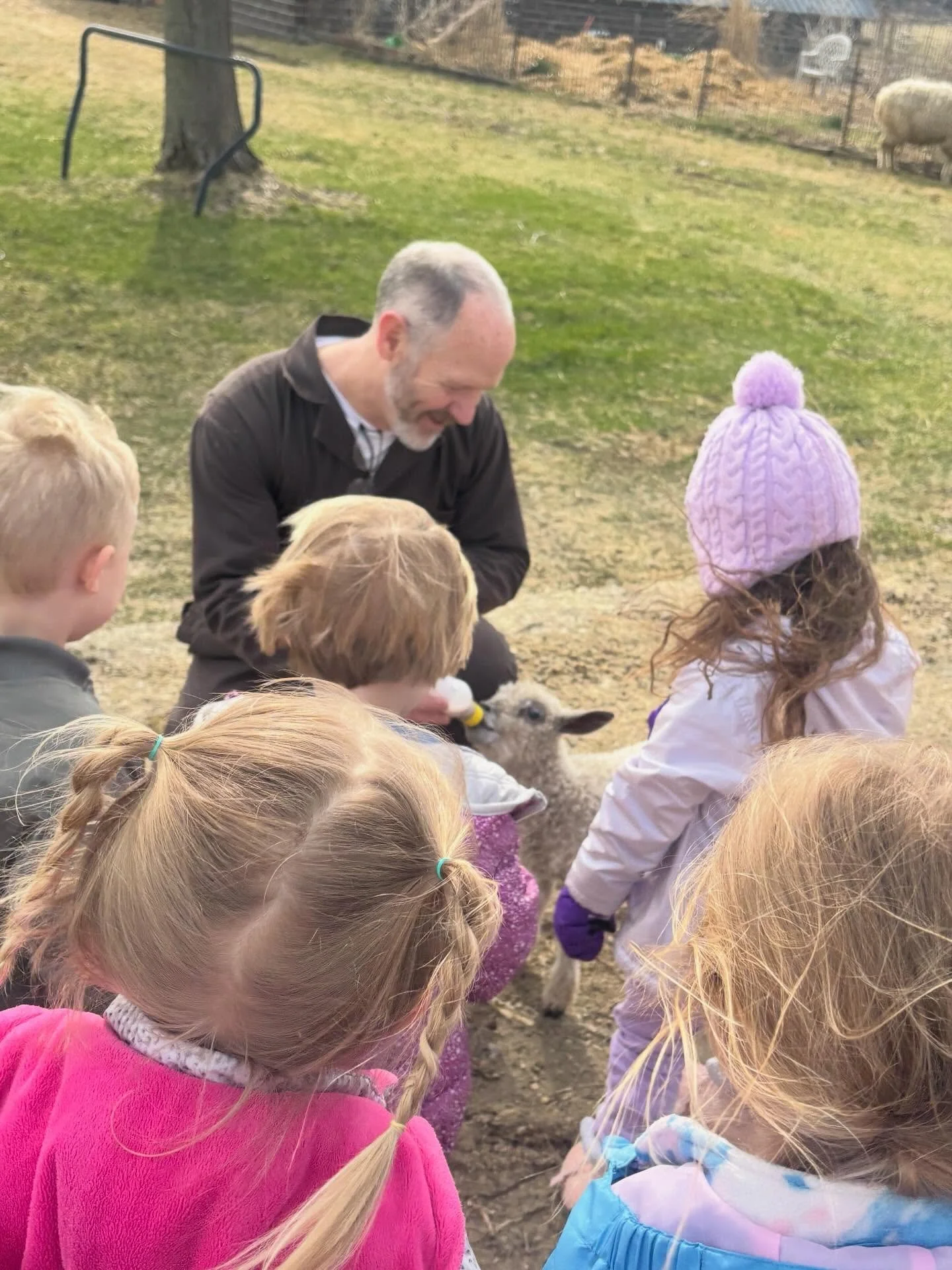 Thank you, The Berryhill Farm, for another great set of field trips to your sheep farm! Our 4s teachers and students alike say this trip is a highlight of the year, and we had a blast visiting this week!