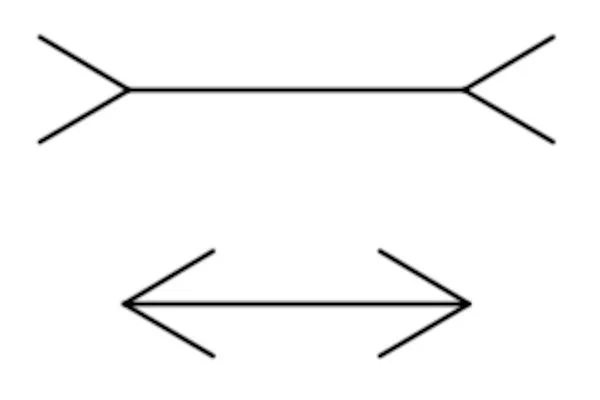 Two horizontal lines with inward and outward arrowheads illustrating the Müller-Lyer illusion