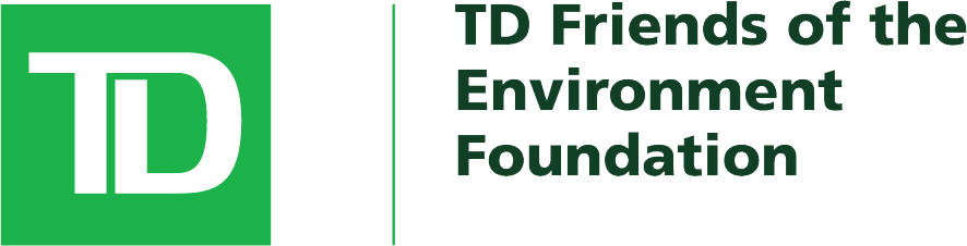 TD-FEF-logo.png