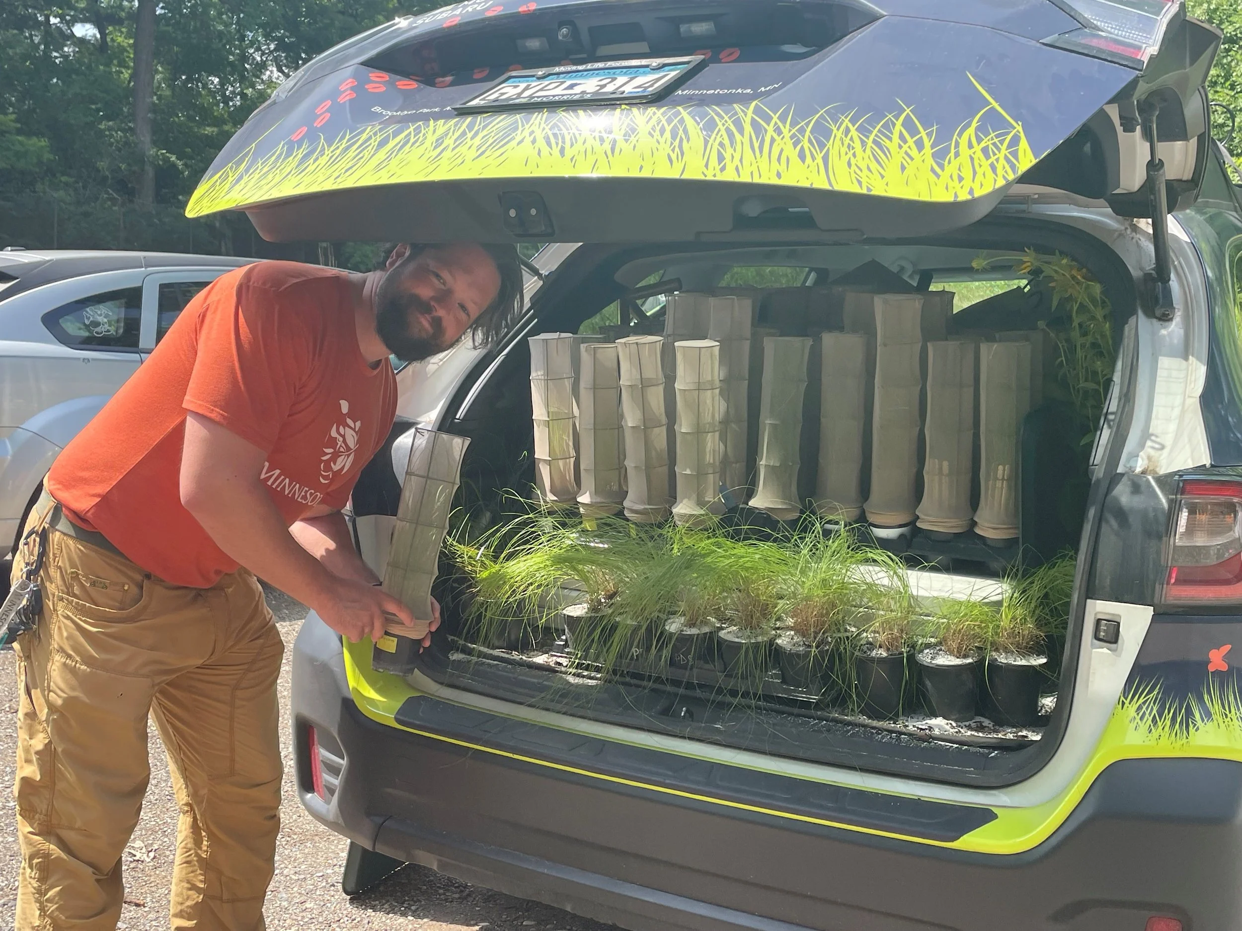 Cale Nordmeyer loads Poweshiek skipperling butterflies for a trip across state lines for wild release.