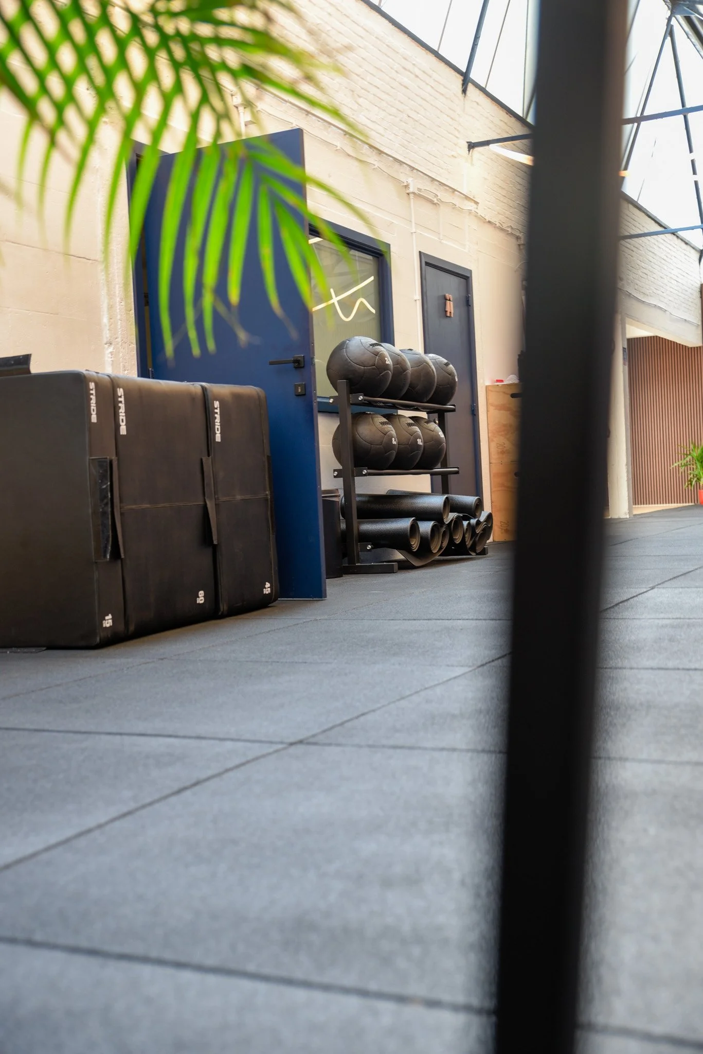 sport kinesitherapie in Berchem en 't groen kwartier, oefentherapie, manuele therapie, dry needling, screening 