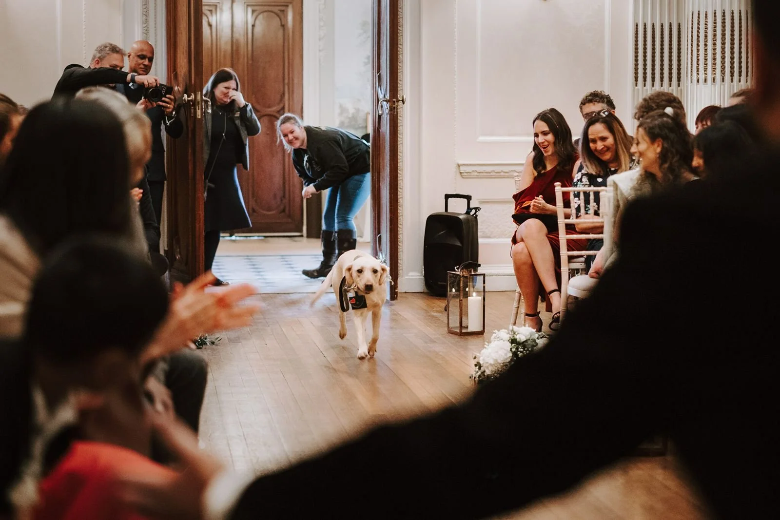 Dog bringing in rings during wedding ceremony