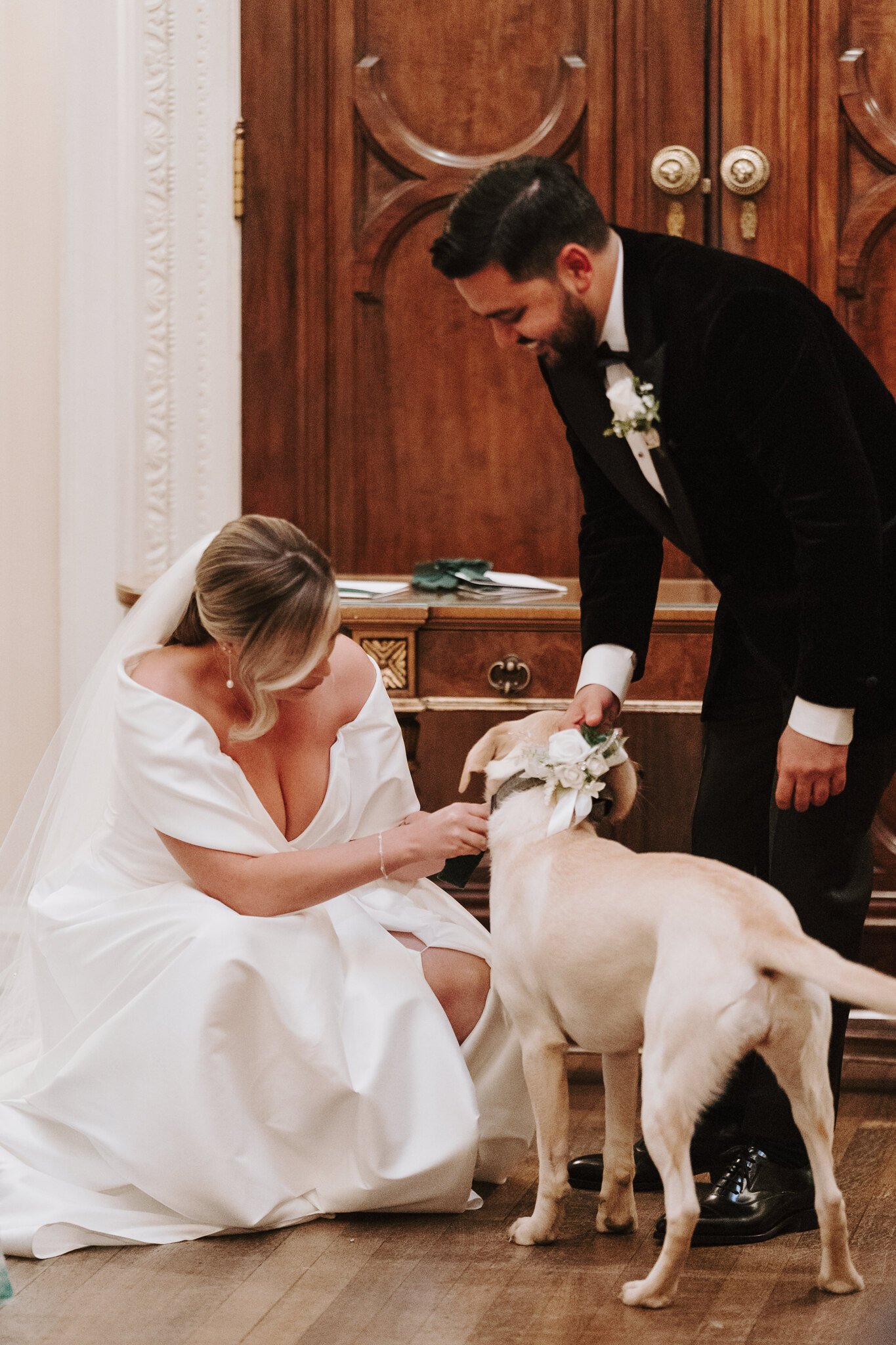 Dog ring bearer in ceremony