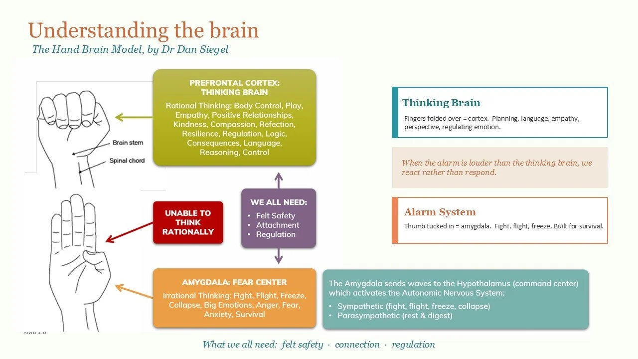 Slide10.JPG