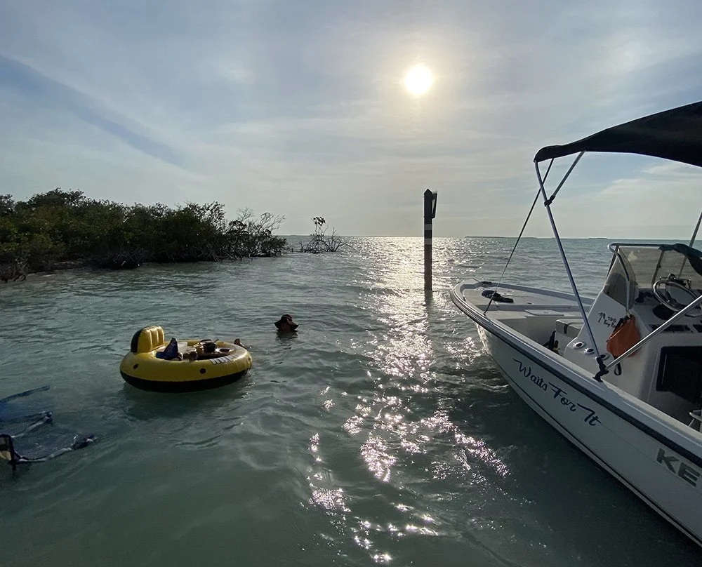 day trip nest key 1.jpg